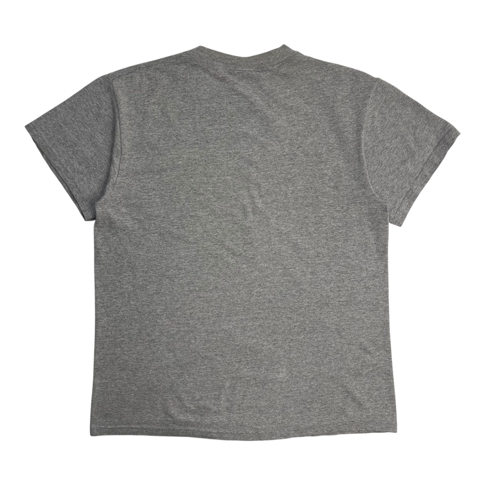 2002 Detroit Red Wings Stanley Cup Champions T-Shirt