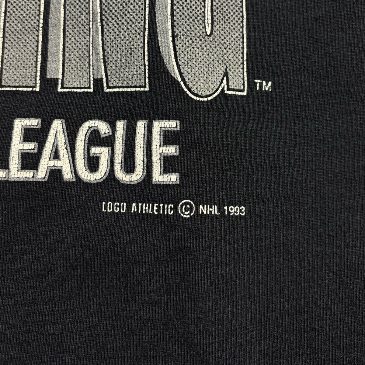 1993 Tampa Bay Lightning NHL Logo Athletic Crew Neck