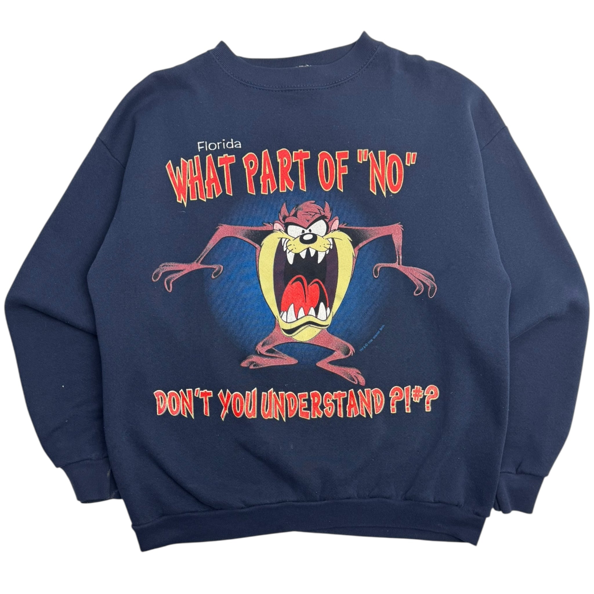 Vintage Florida Taz What Part Don’t You Understand Crewnwck