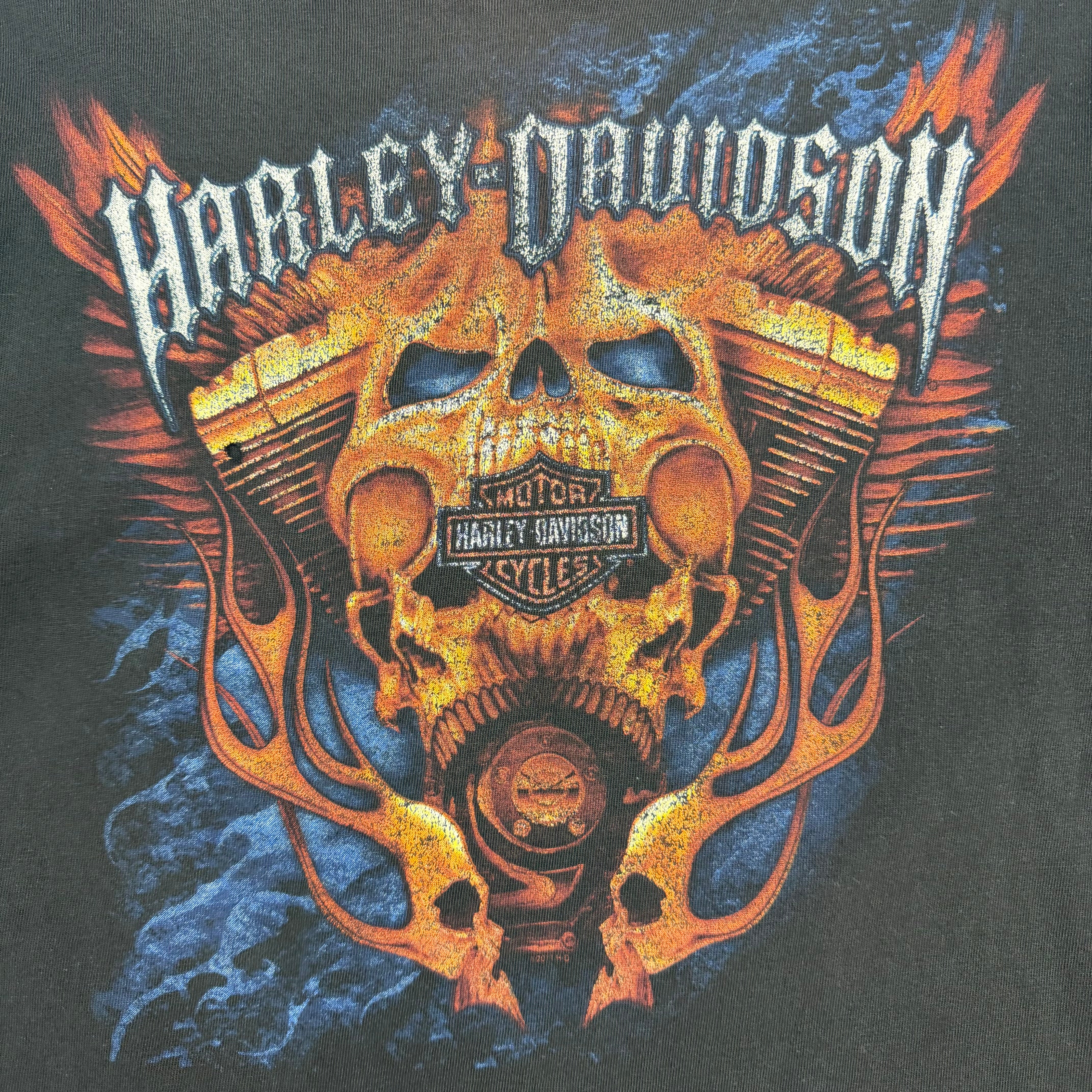 Vintage Harley Davidson Edmonton Flame Skull Longsleeve Black
