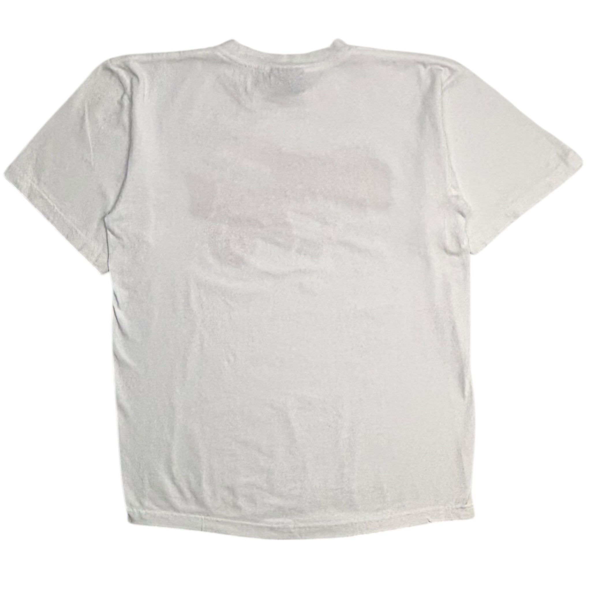 Vintage Y2K Southpole Prep Font T-Shirt