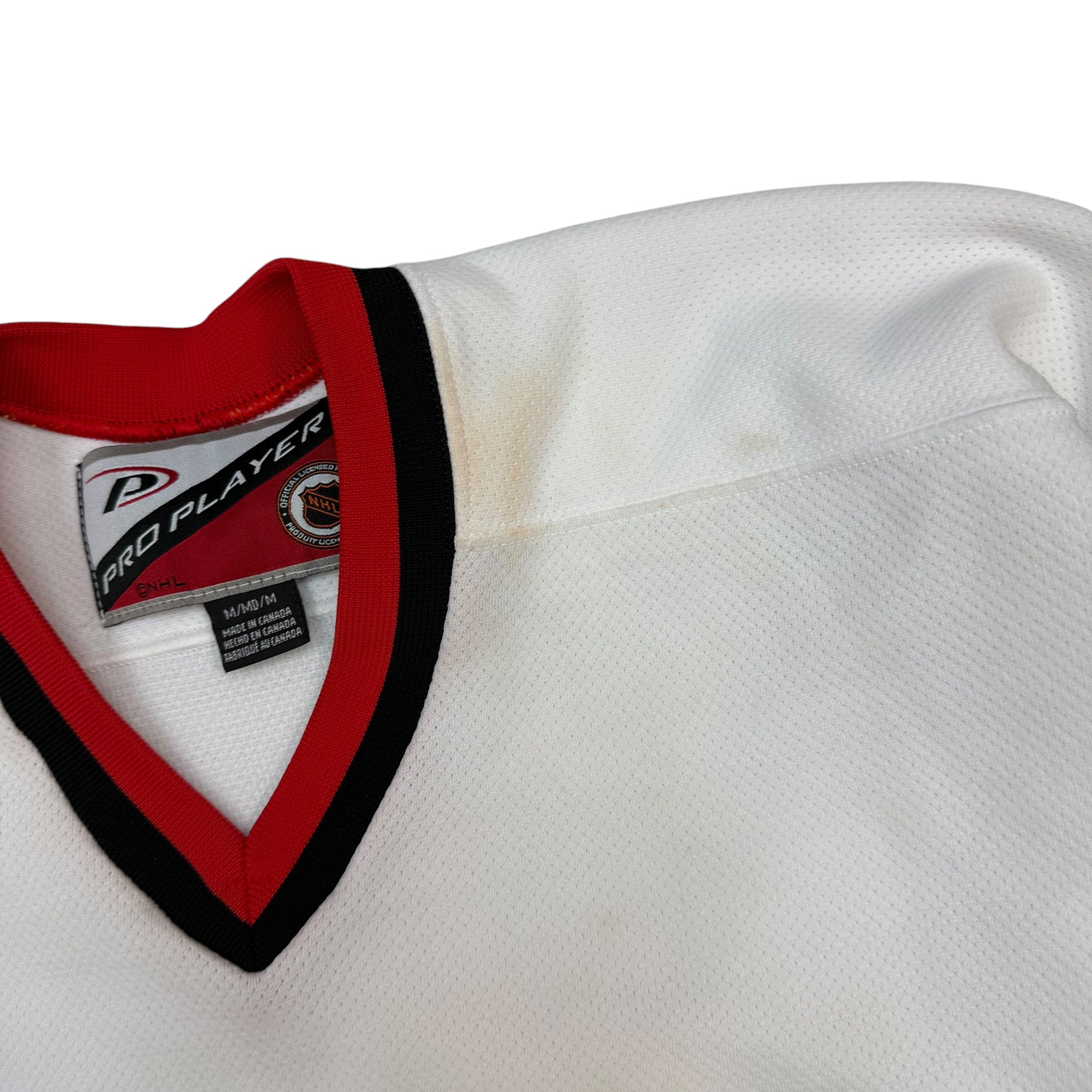 Vintage Pro Player Carolina Hurricanes Away Jersey White