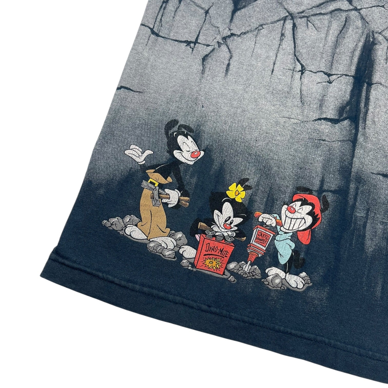 Vintage Animaniacs T-Shirt Blue