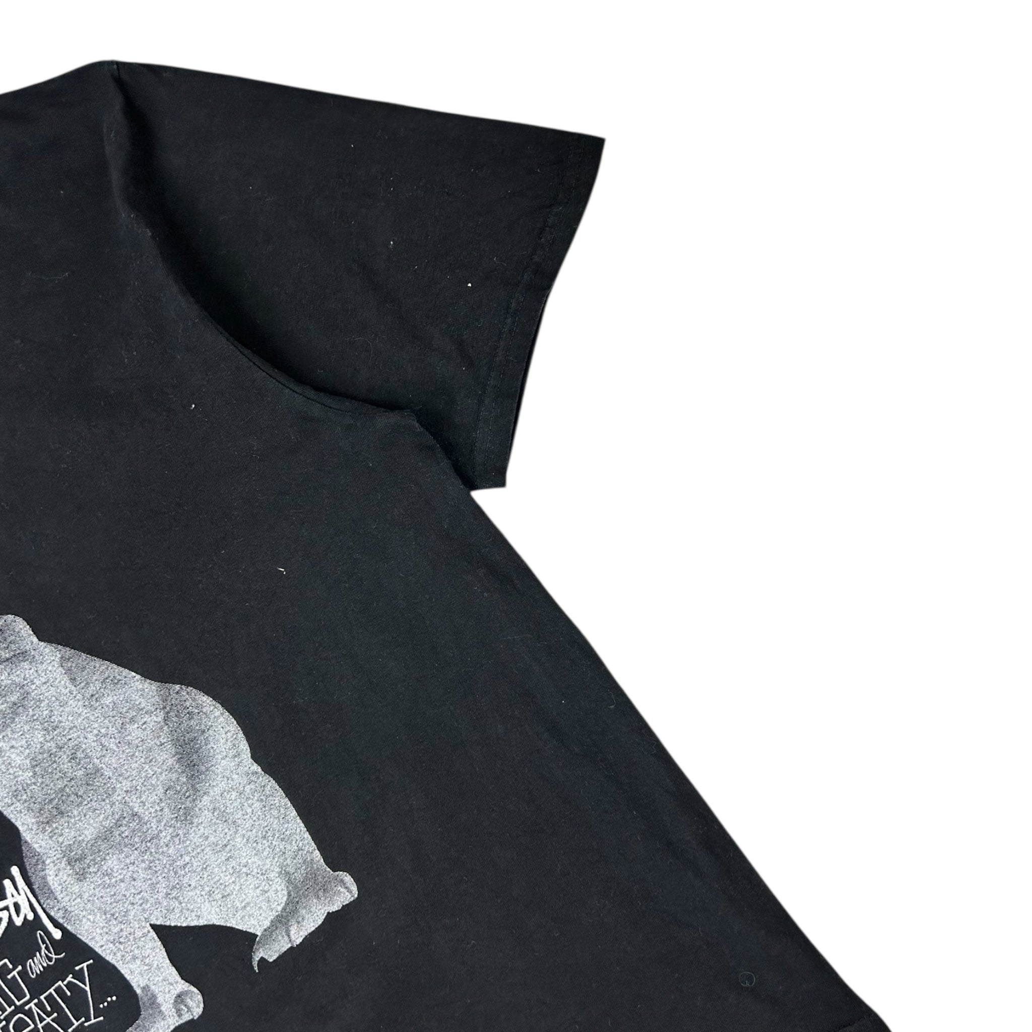 Stussy Big & Meaty T-Shirt Black
