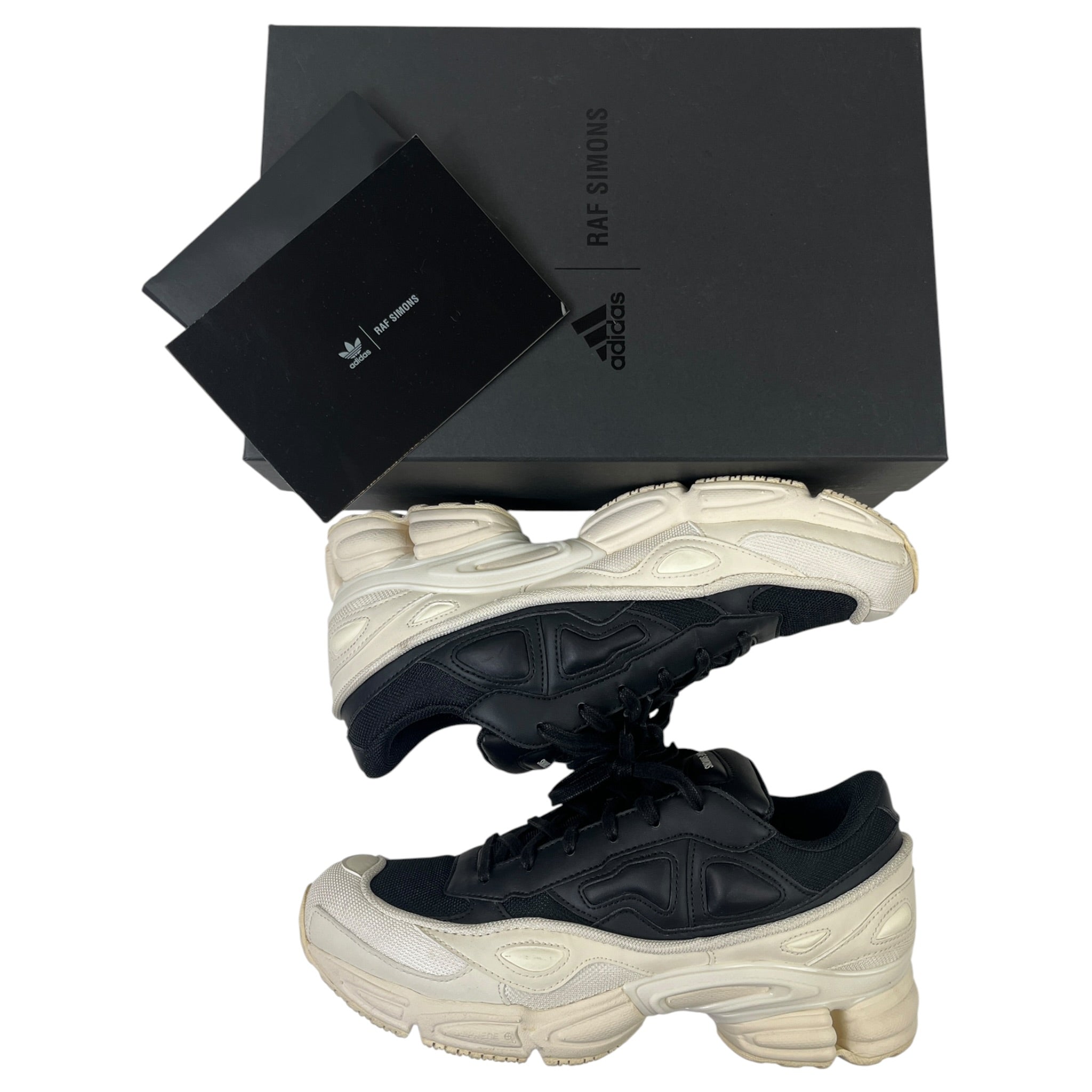 Adidas x Raf Simons Replicant Ozweego (Used)