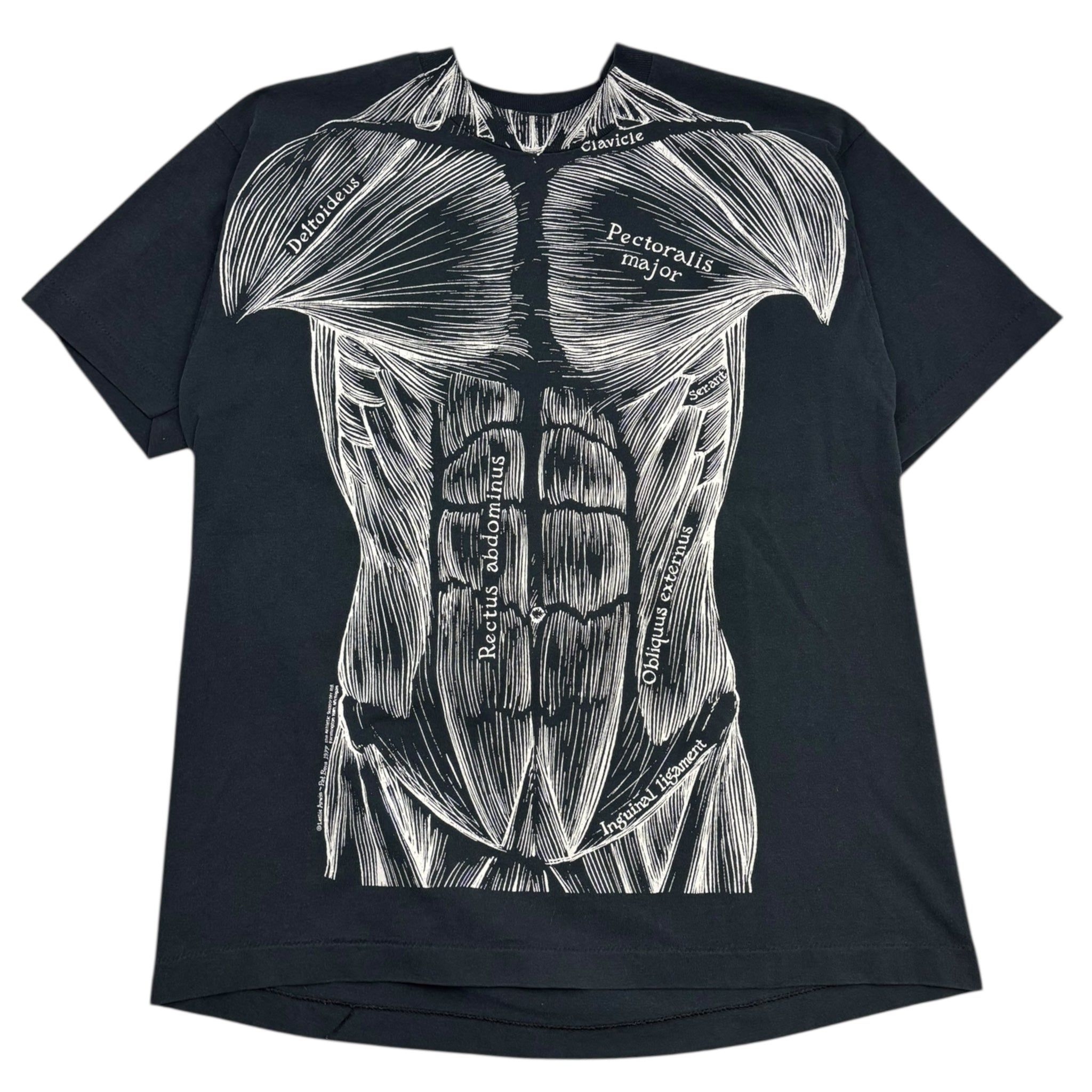 Vintage 80's Leslie Arwin Anatomy T-Shirt