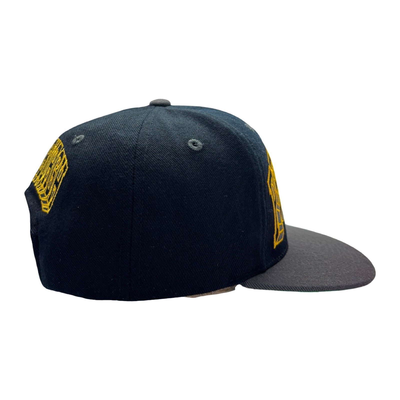 Vintage Zephyr Pittsburg Penguin NHL Hat