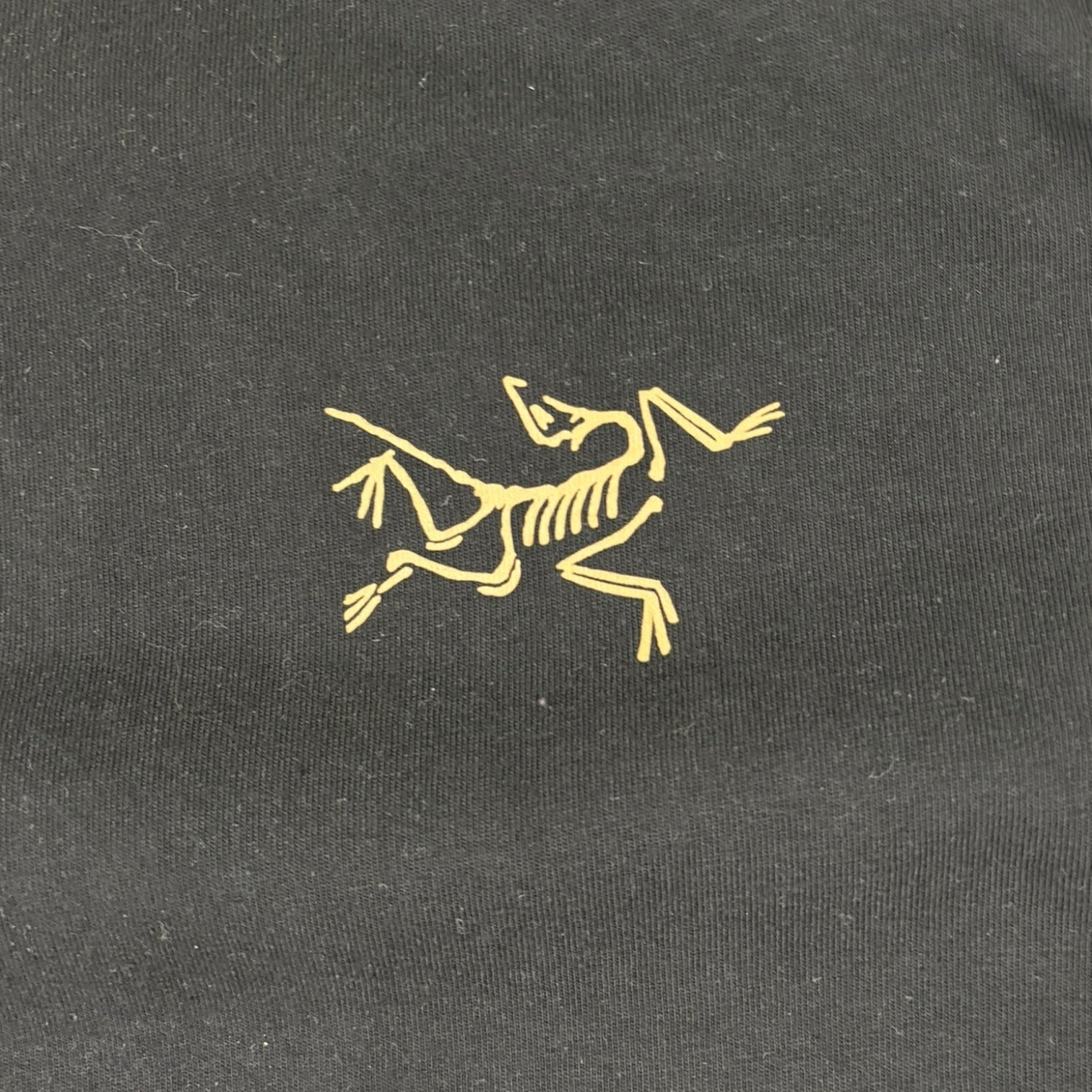 Arc’teryx Kragg Cotton Long Sleeve T-Shirt Black