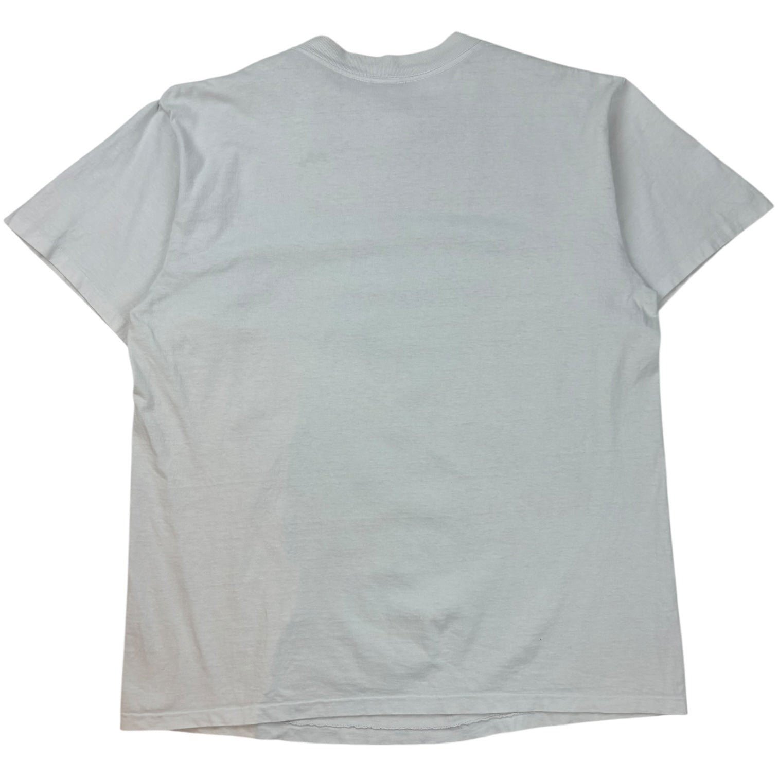 Vintage Min Louis Farrakhan “Until We Learn” T-Shirt White