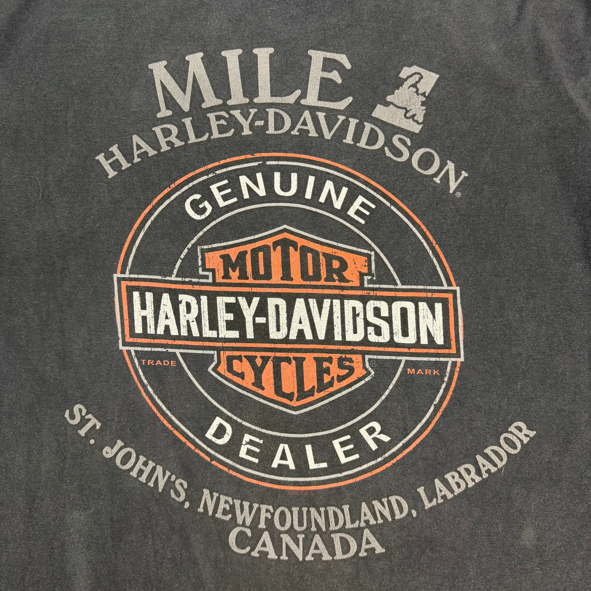 Harley Davidson Flame Logo Tee Black