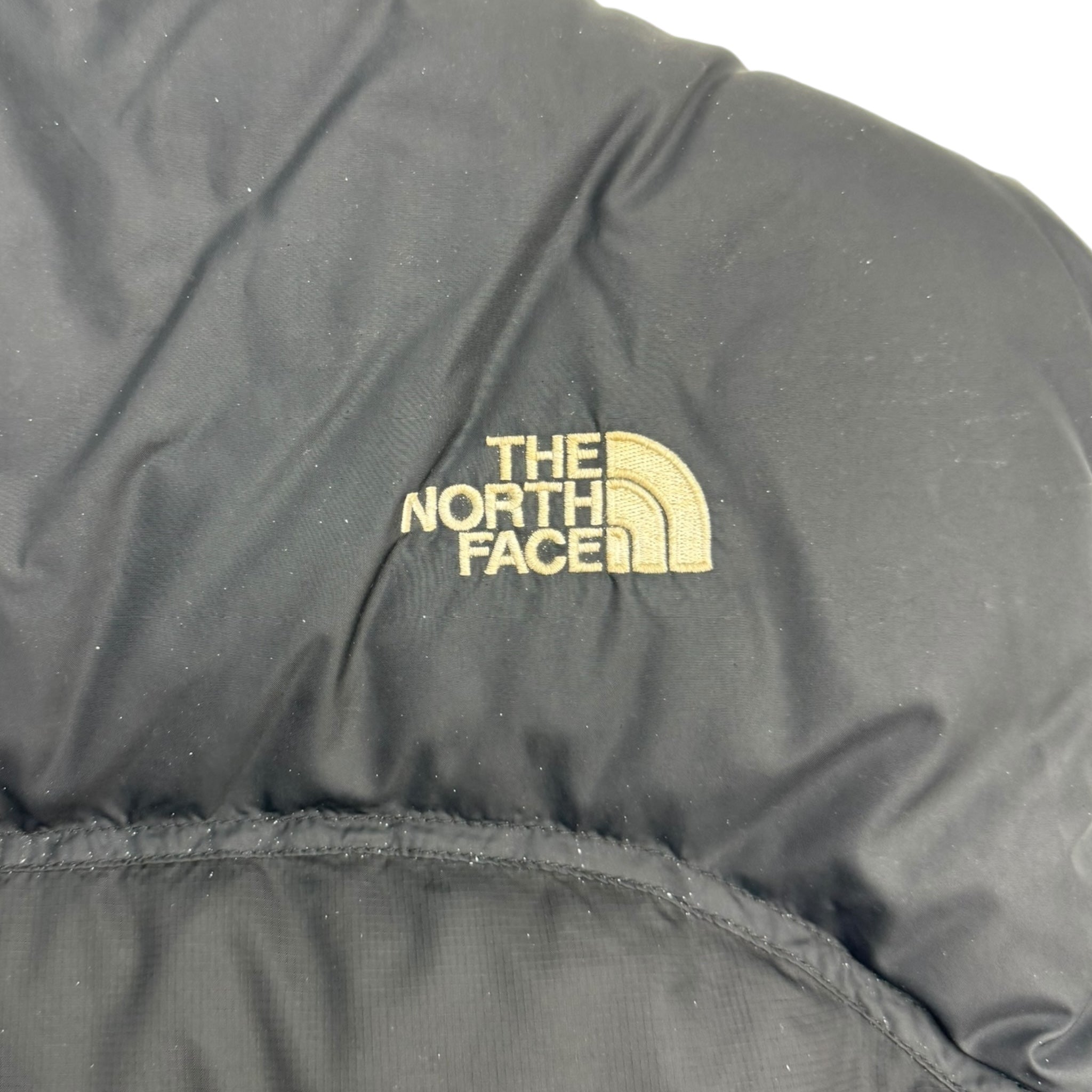 The North Face 700 Puffer Vest Black