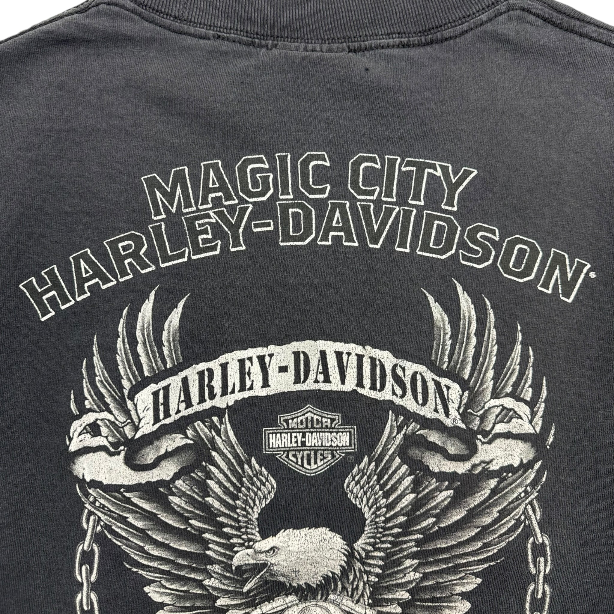 Vintage Harley Davidson Magic City Minot, ND Longsleeve