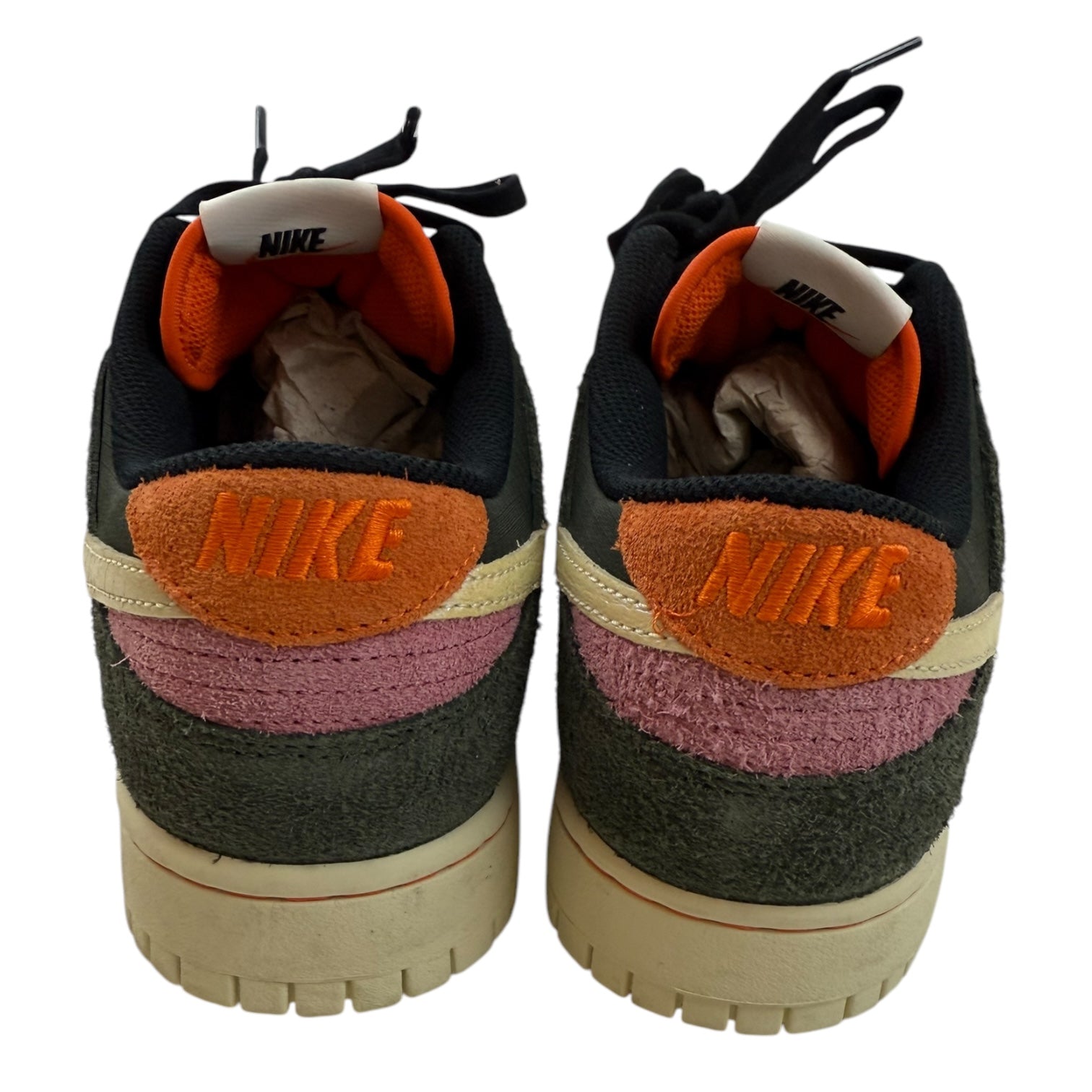 Nike Dunk Low SE Gone Fishing Rainbow Trout (Used)