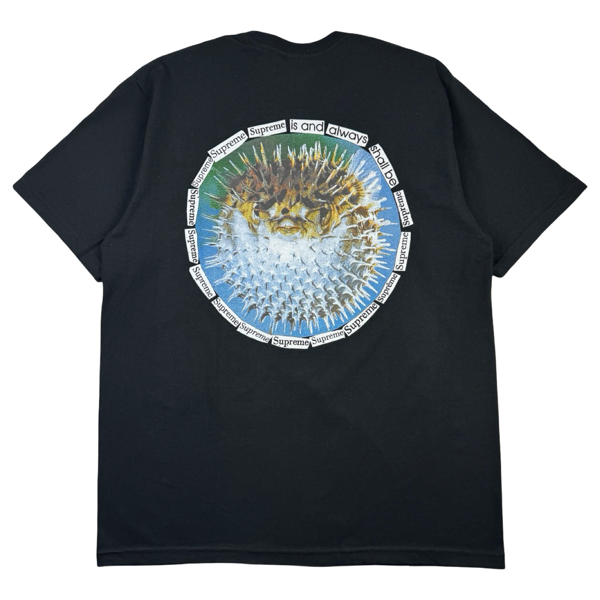 Supreme Blowfish Tee Black