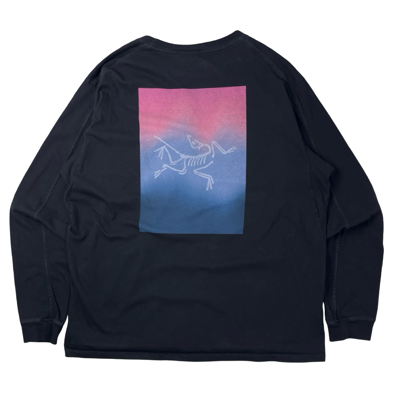 Arc’teryx Longsleeve T-Shirt