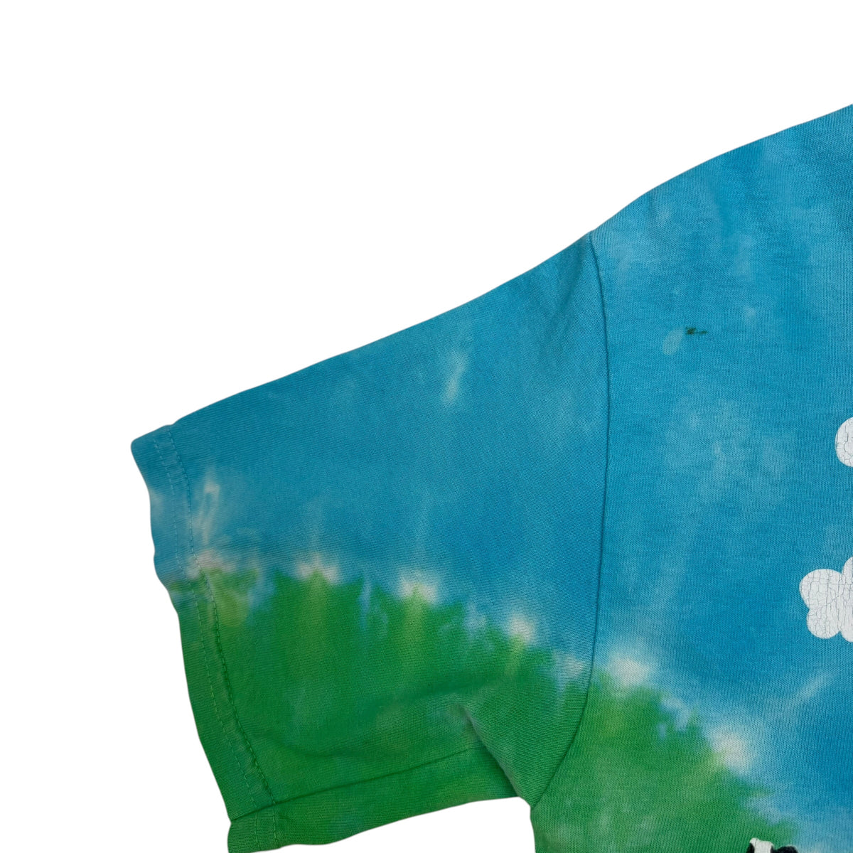Vintage Ben & Jerry’s Euphoria All Over Print Tee Blue/Green