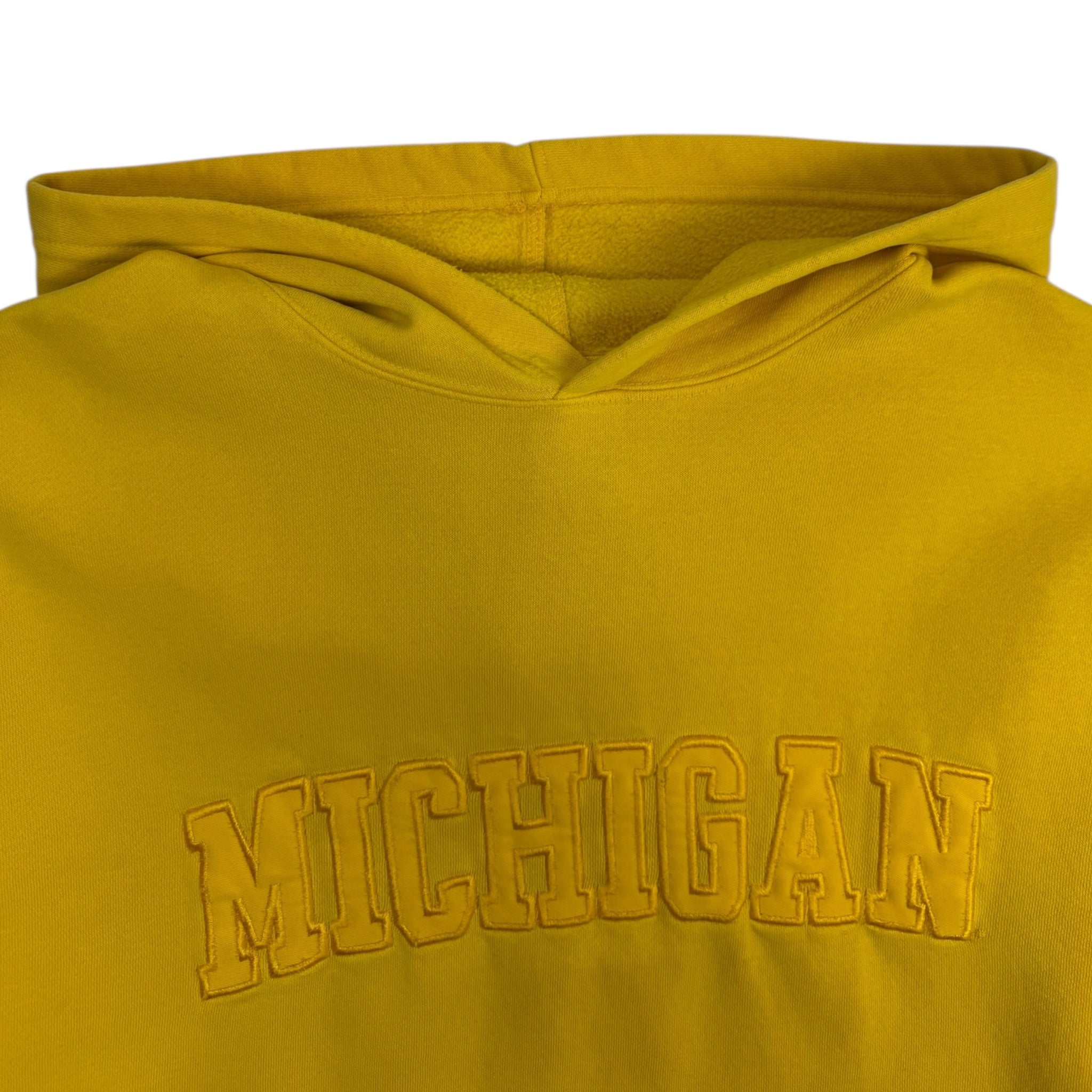 Vintage Y2K Nike Michigan Spell-out Hoodie