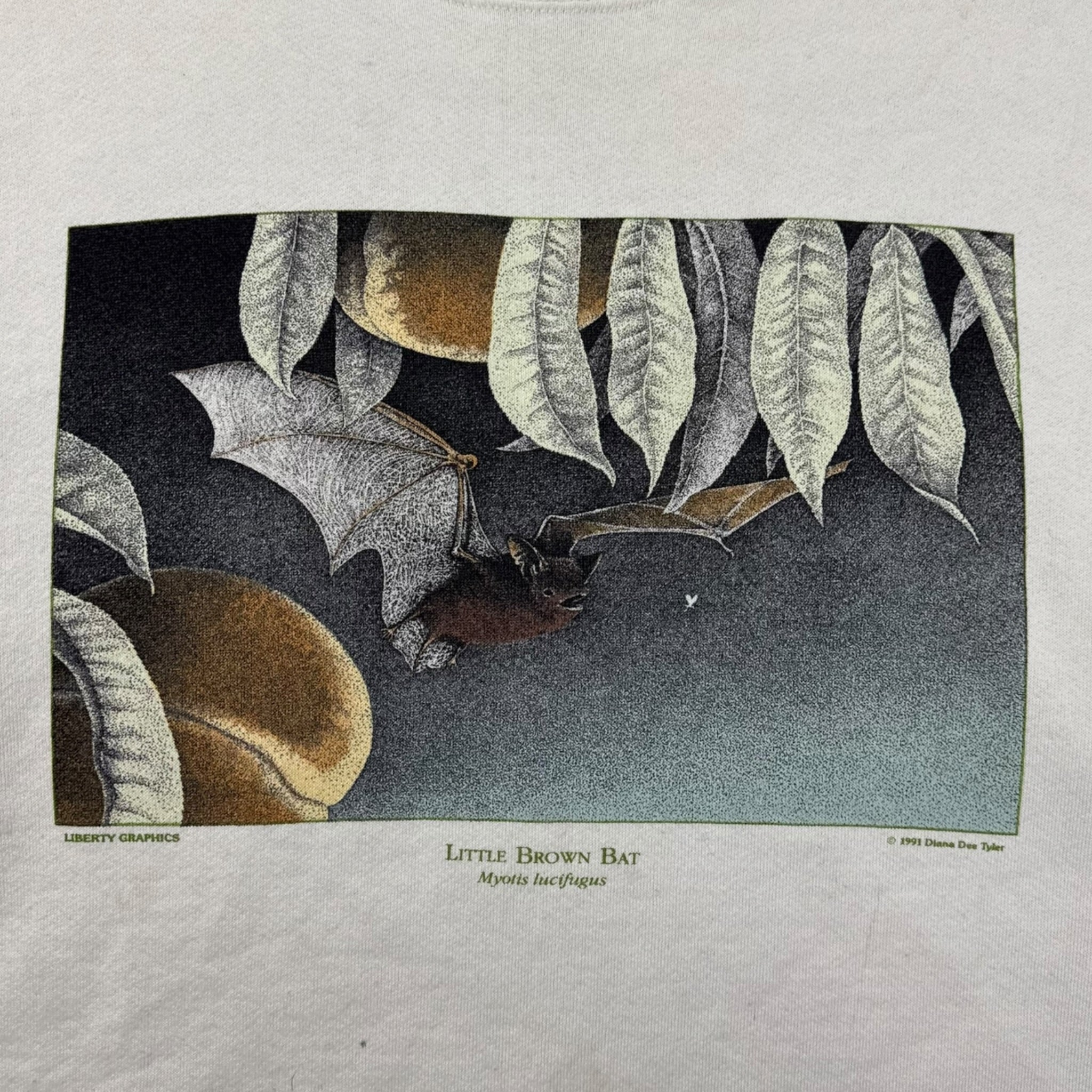 (W) 1991 Little Brown Bat ‘Myotis Lucifugus’ Crewneck