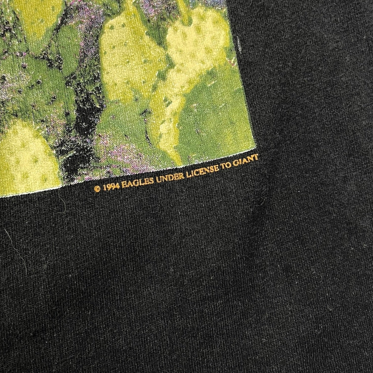 1994 Eagles Hell Freezes Over Tour T-Shirt