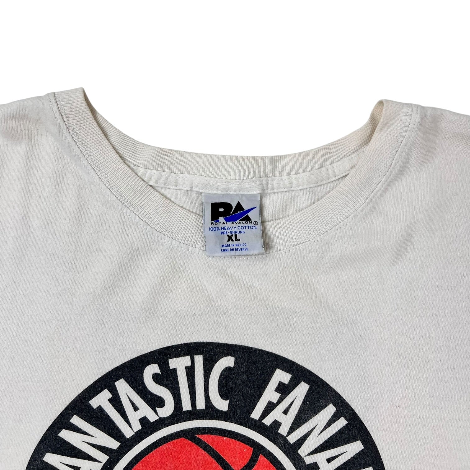 Vintage NBA Royal Avalon Charlotte Hornets Fantastic Fanale 10 Year Anniversary T-shirt