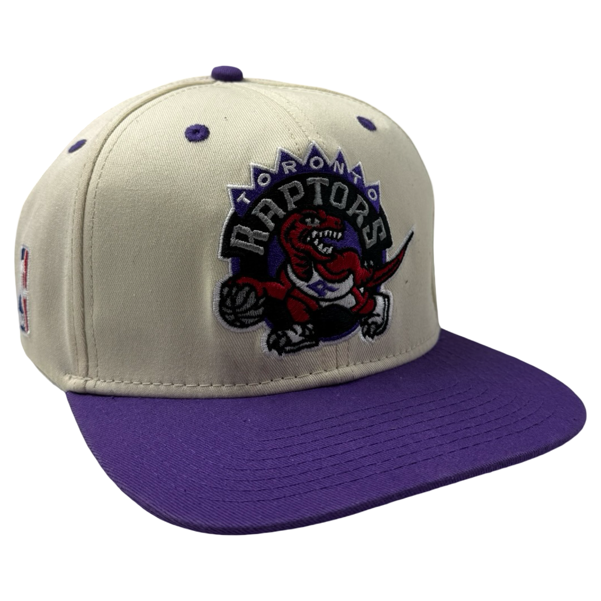 Vintage Toronto Raptors Sports Specialties NBA Hat