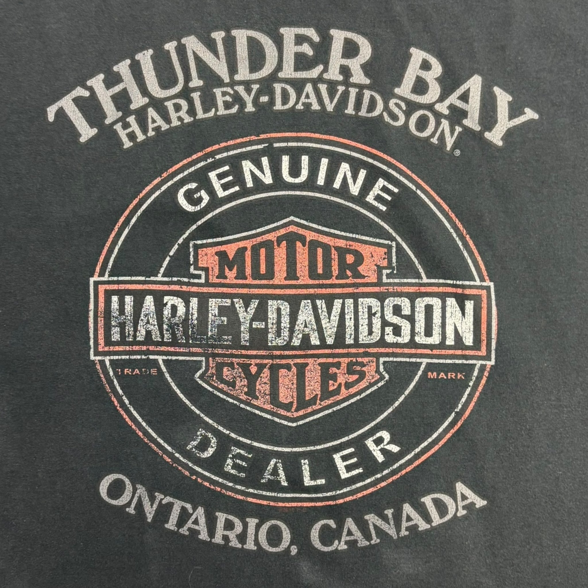 Harley Davidson Thunder Bay Ontario "Wild Ride" T-Shirt
