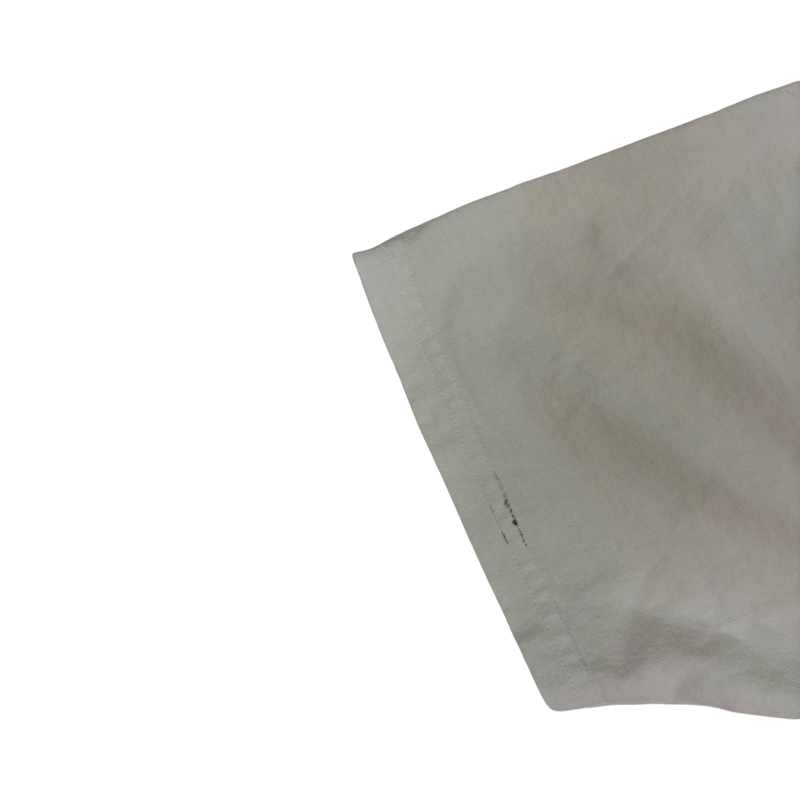 Stüssy Big Dog Stone Washed Tee White