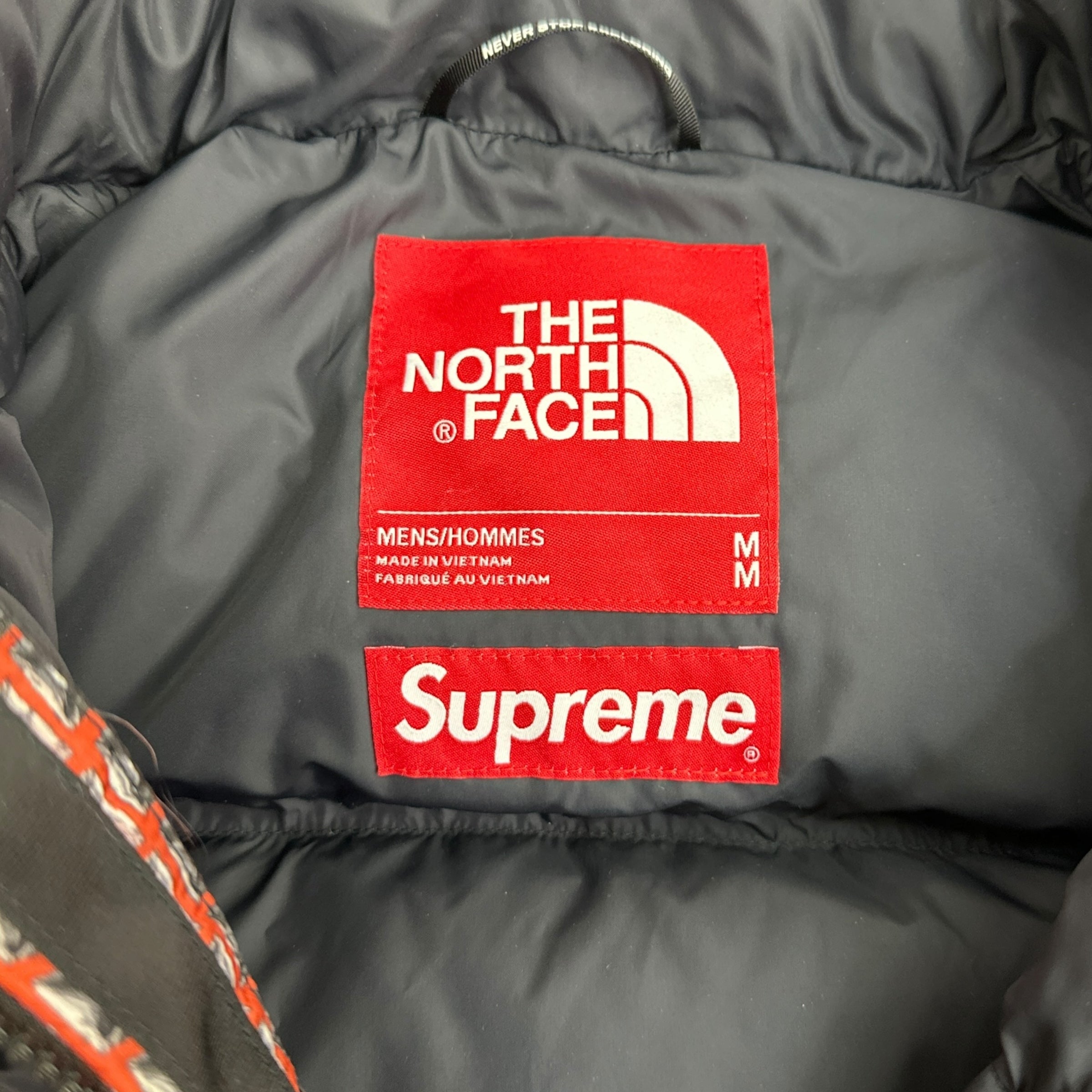 Supreme x The North Face Studded 700 Fill Nuptse Red
