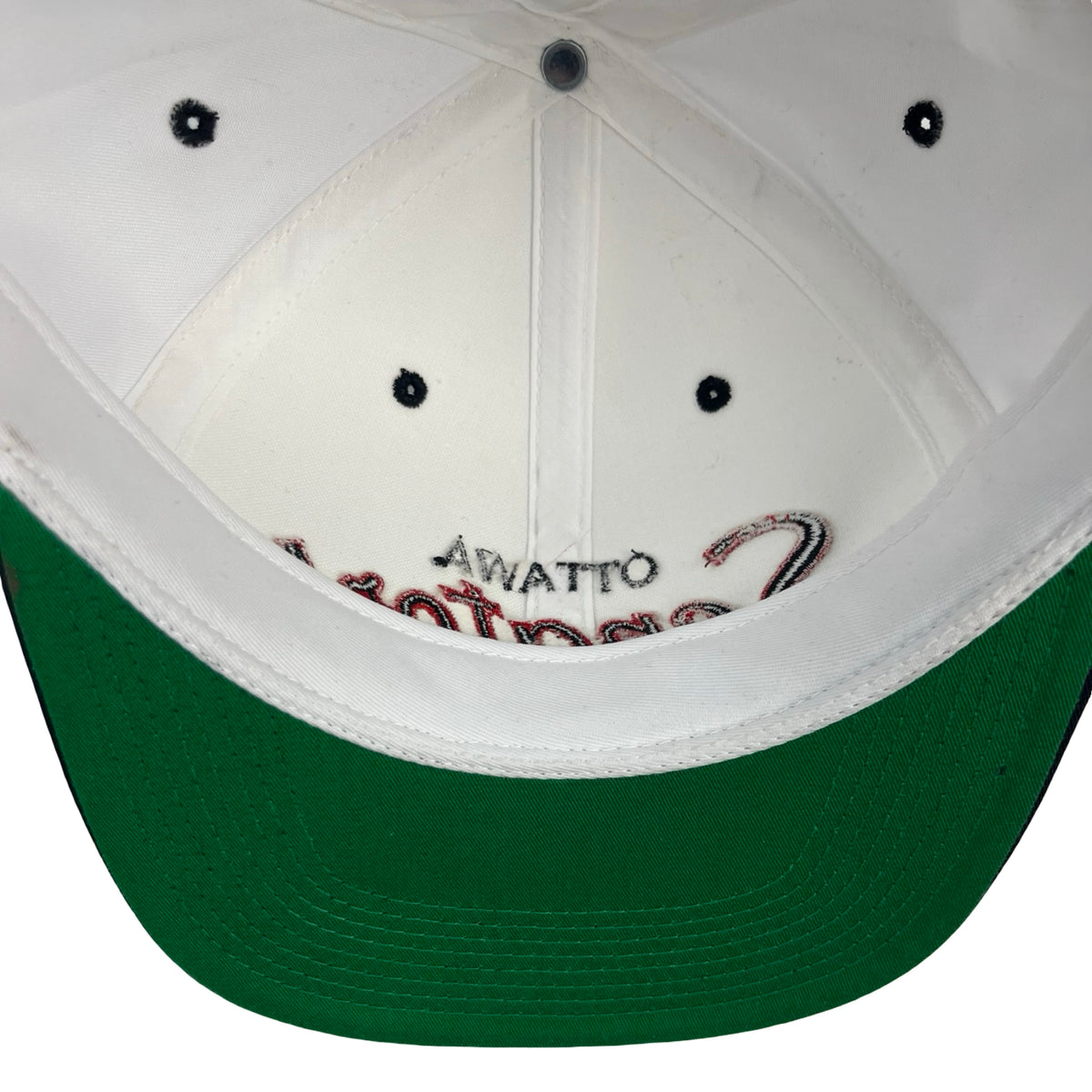 Vintage Ottawa Senators Double Line Script Hat by Sports Specialties