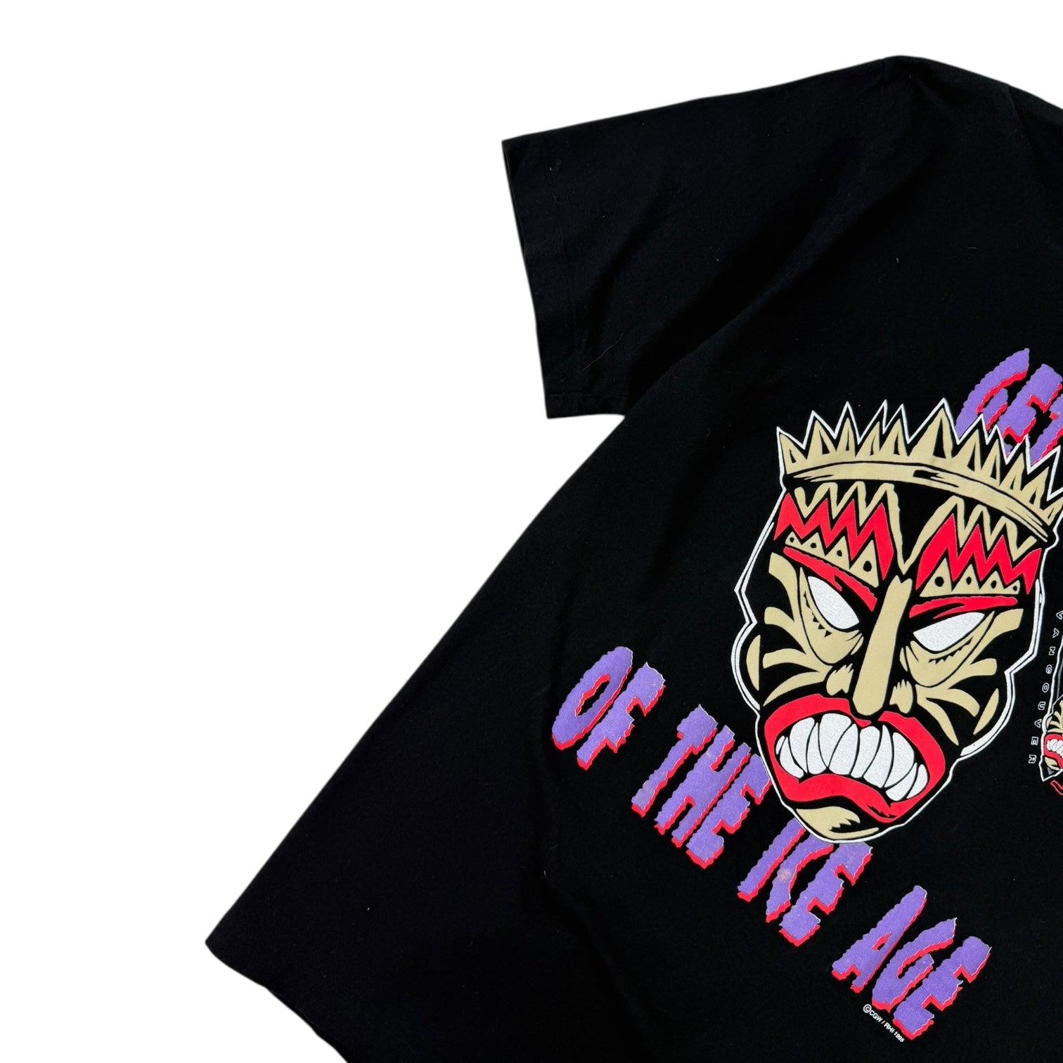 Vintage CGW Vancouver VooDoo Pro Roller Hockey Team Get Out of the Ice Age