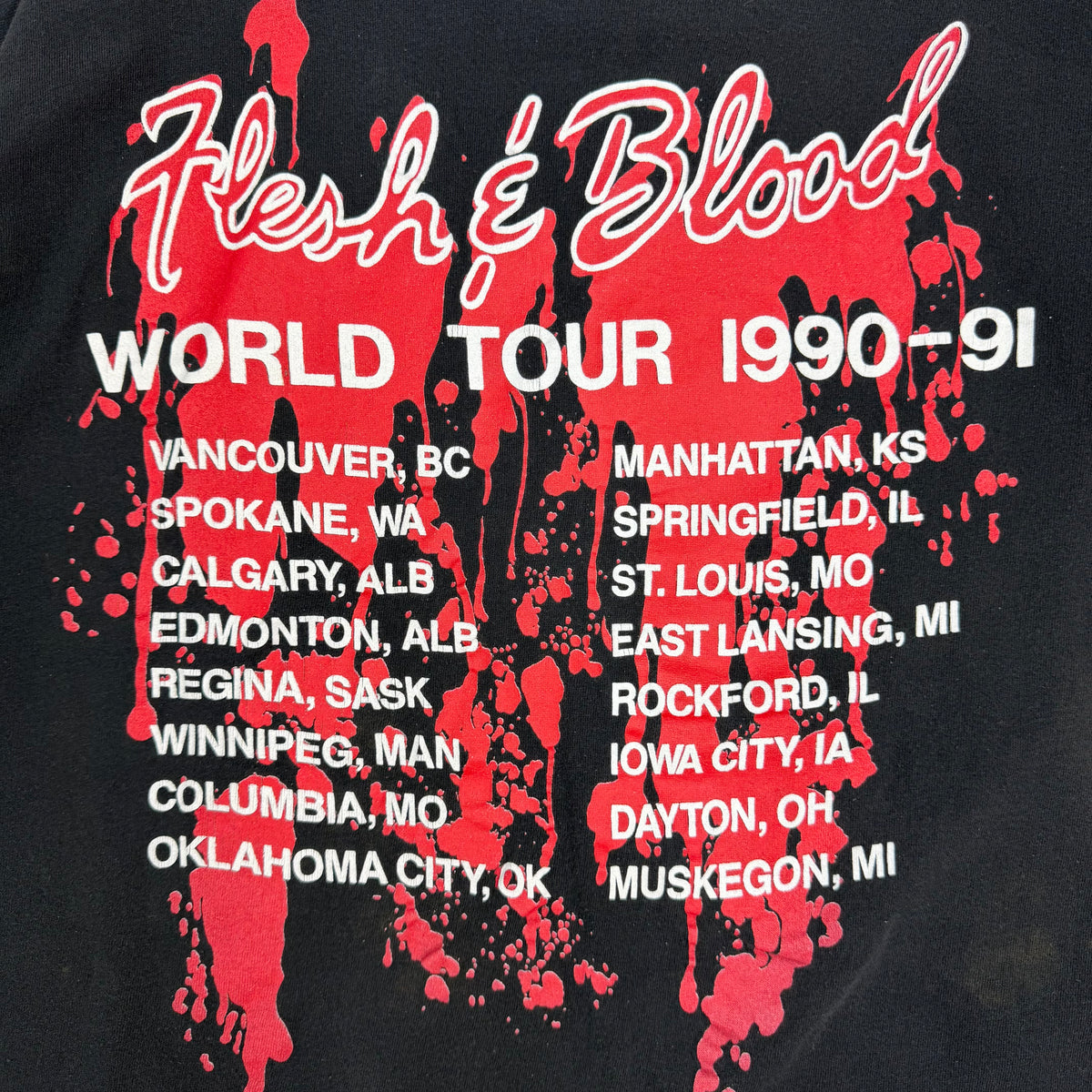 1990 Poison Flesh & Blood World Tour Distressed Tee