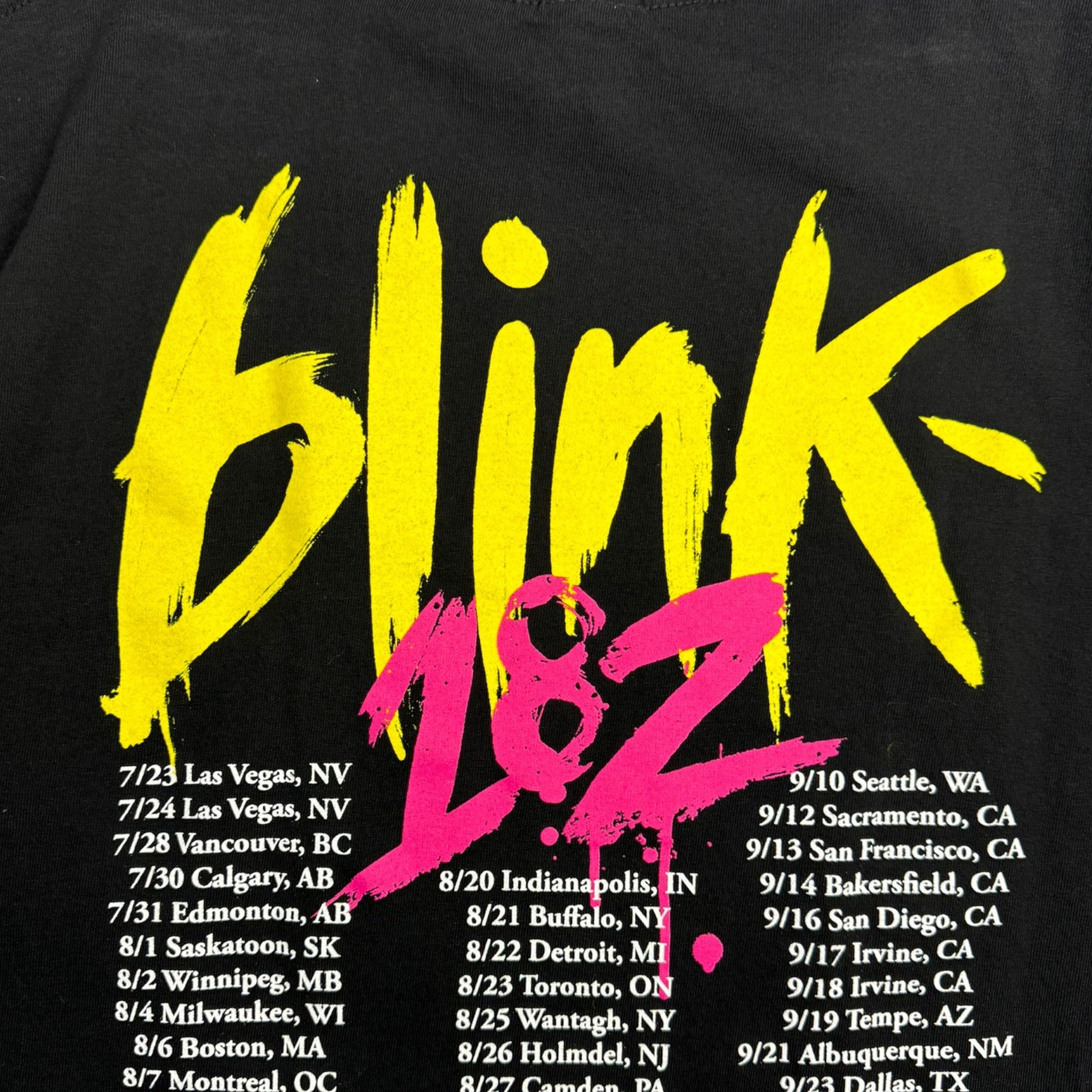 2009 Blink-182 Summer Tour T-Shirt