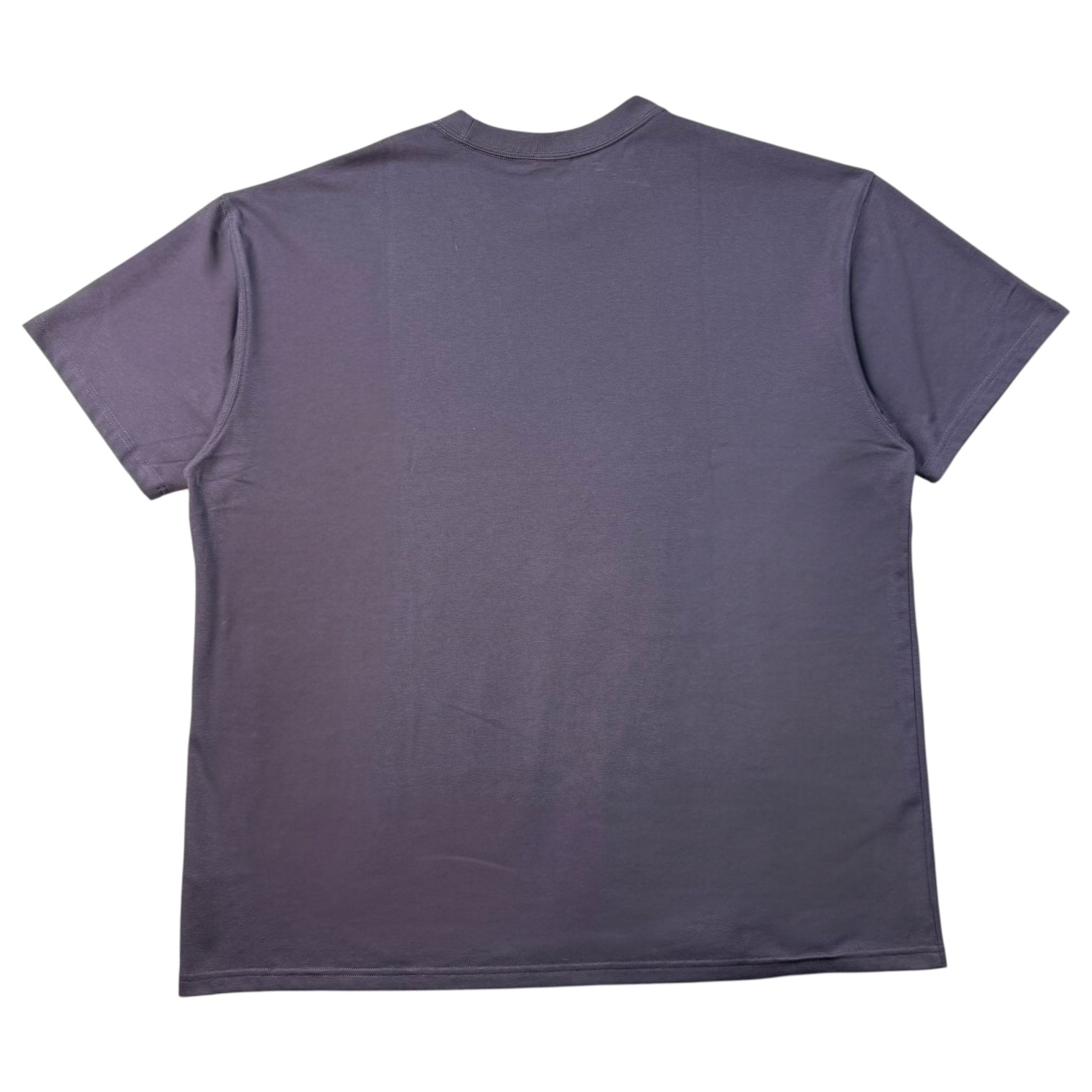 Nike ACG Tee Purple