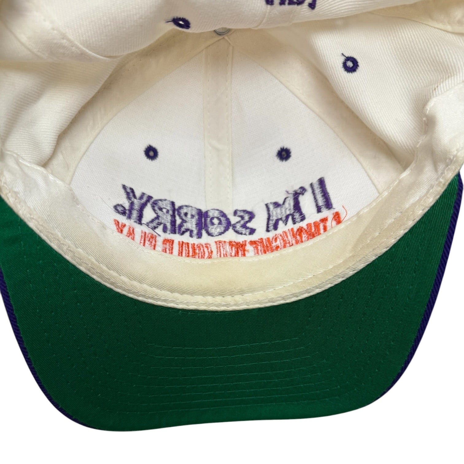 Vintage And1 I’m Sorry I Thought You Could Play Snapback