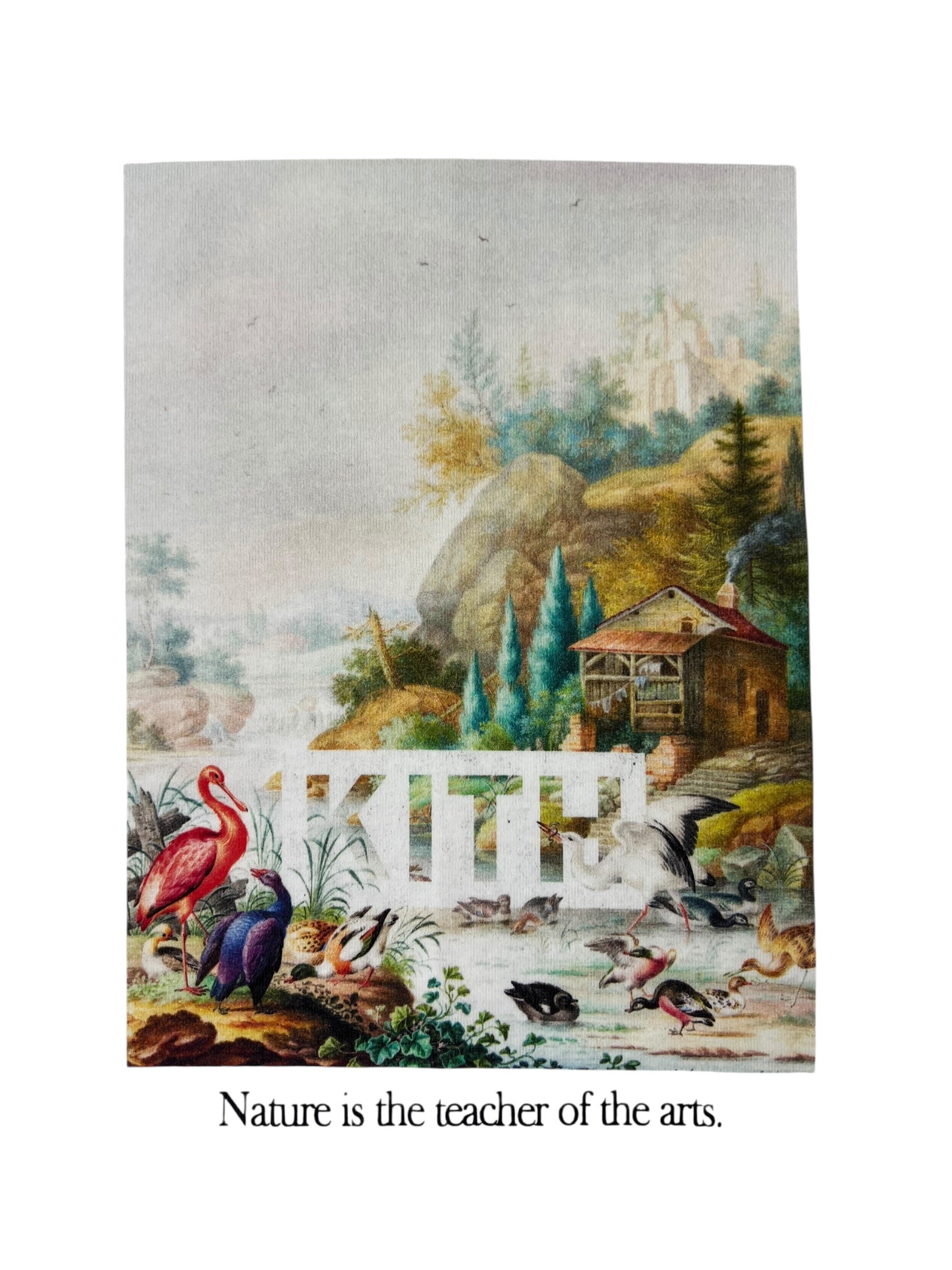 Kith “ Art of Nature “ T-Shirt White