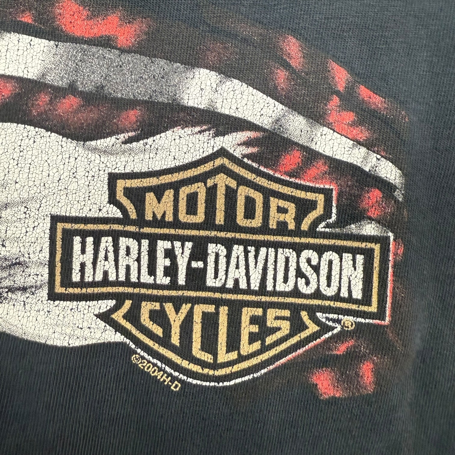 2004 Harley Davidson Of Winchester Virginia Tee Black