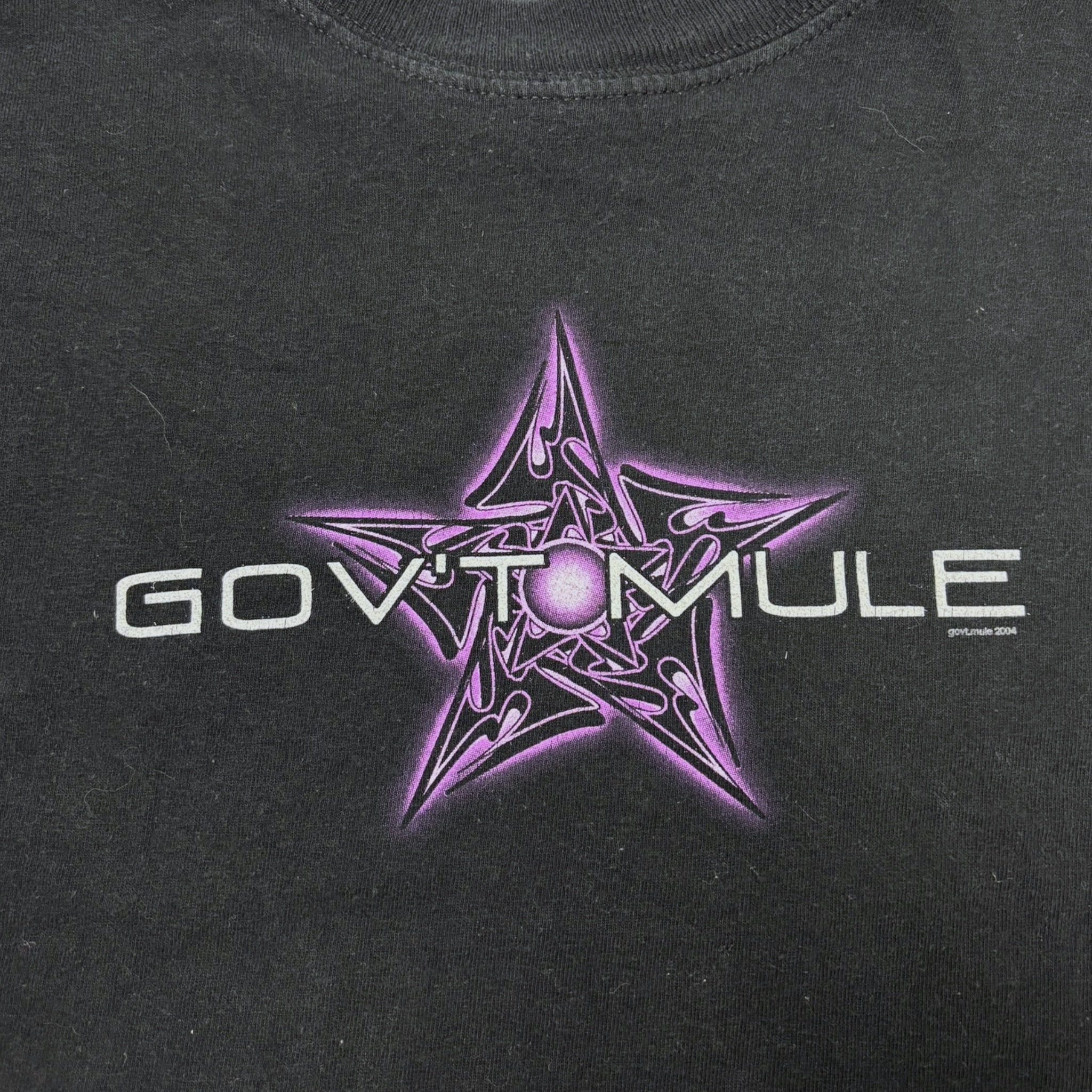 Vintage Y2K Gov't Mule Tribal Sleeve Flamer L/S T-Shirt
