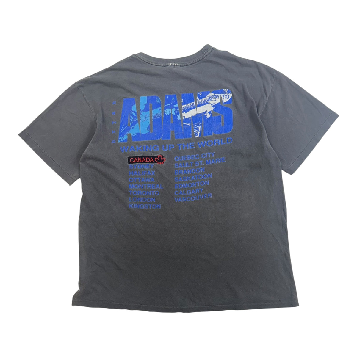 Vintage Bryan Adams "Waking Up The World" T-Shirt Grey