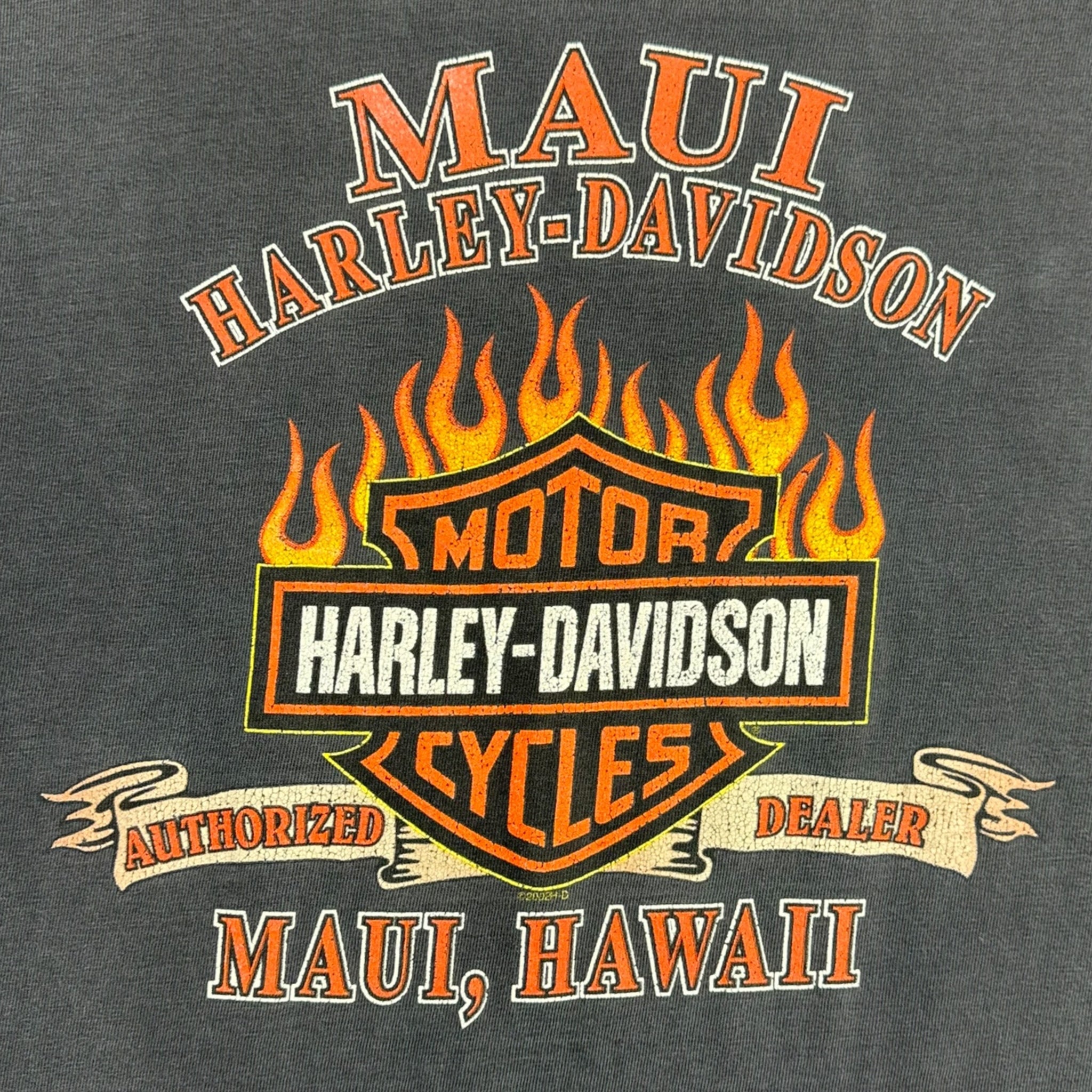 2002 Harley Davidson Maui Hawaii Flamey T-Shirt