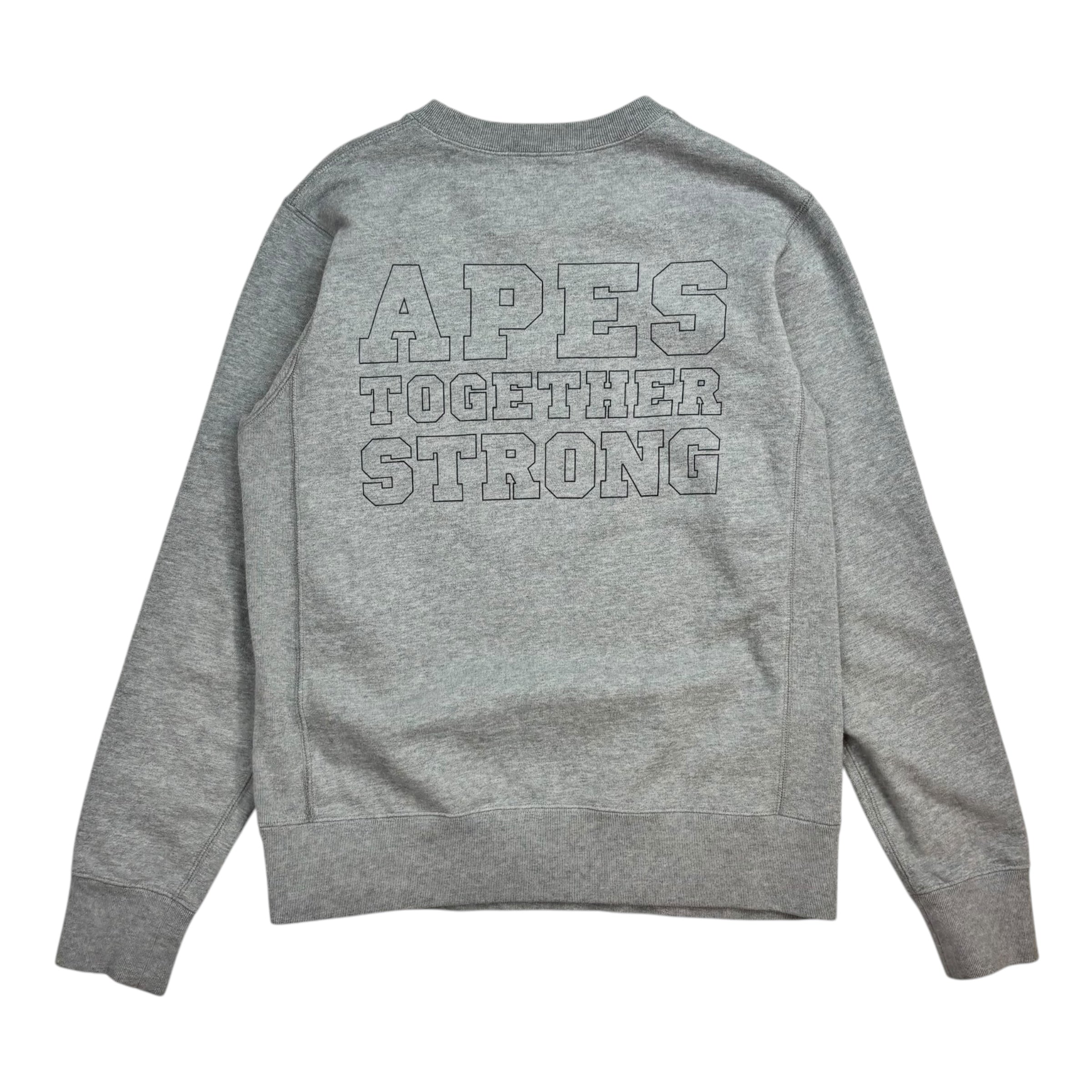 BAPE College Crewneck Grey