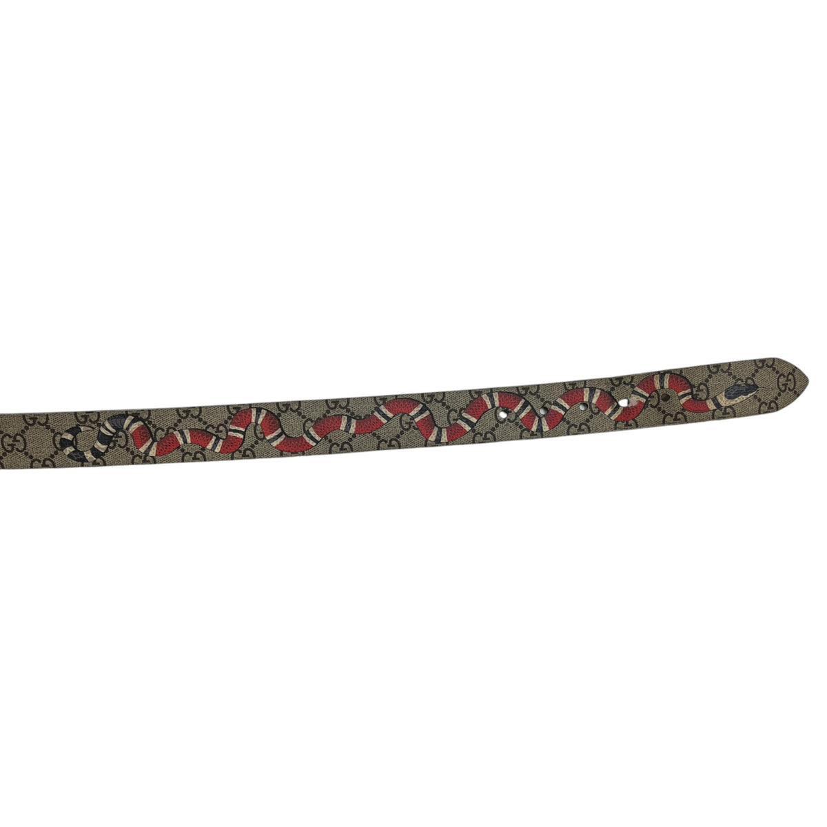Gucci Kingsnake Print GG Supreme Canvas Belt