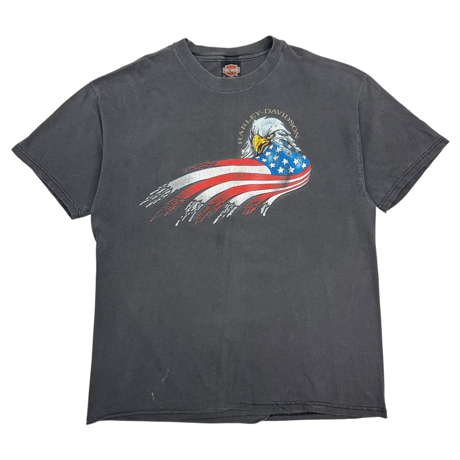 Vintage Harley Davidson Of Lakeville Tee Faded Black