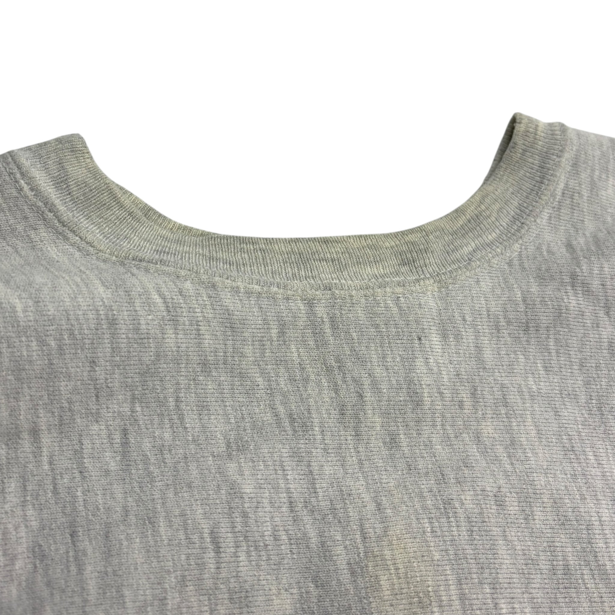 Vintage University Of Dayton Champion Reverse Weave Crewneck Grey