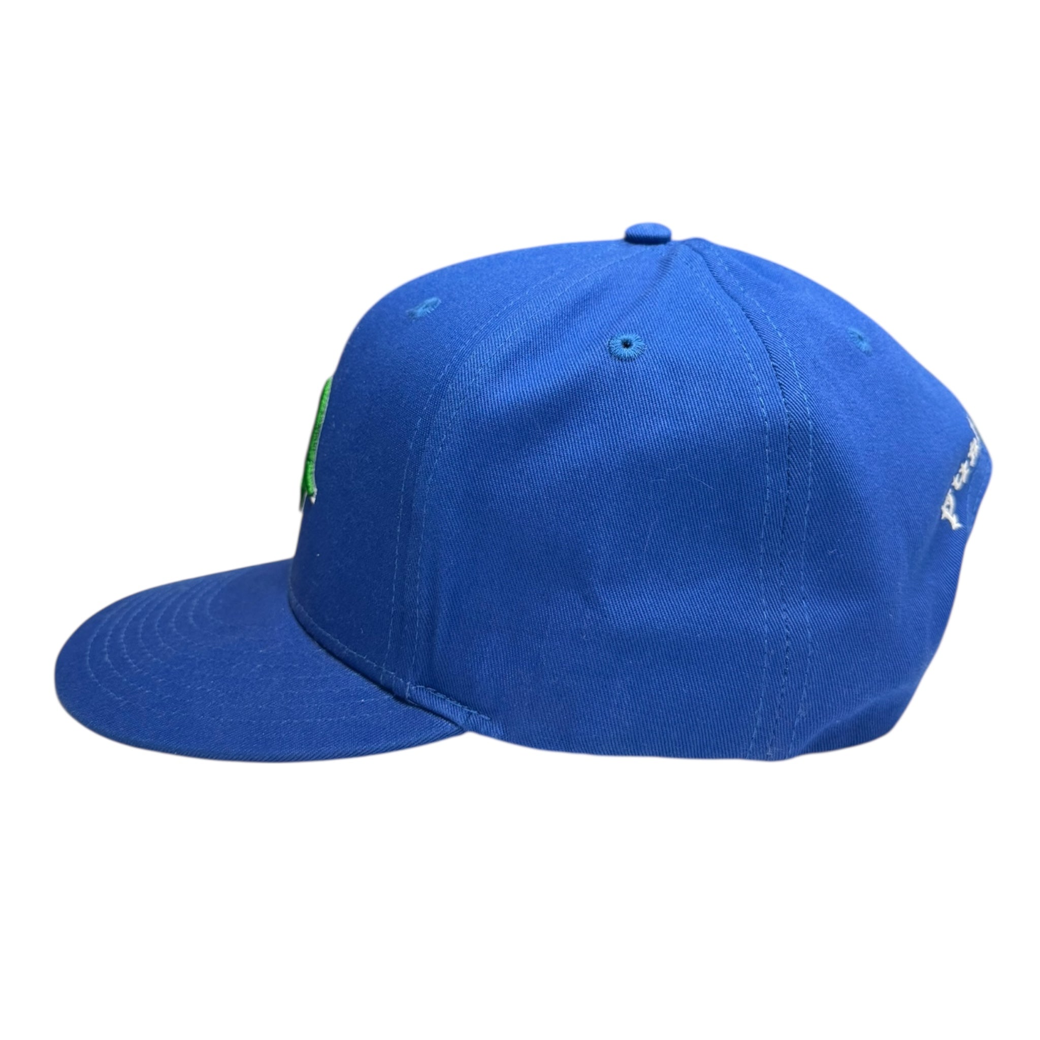 Punkandyo Blue N Hat