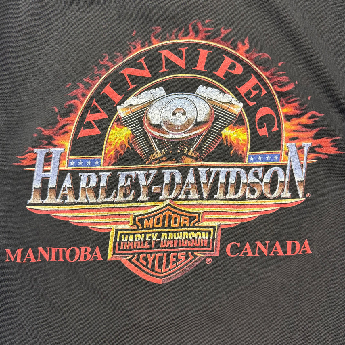Vintage Harley Davidson Freedom Winnipeg Tee Black