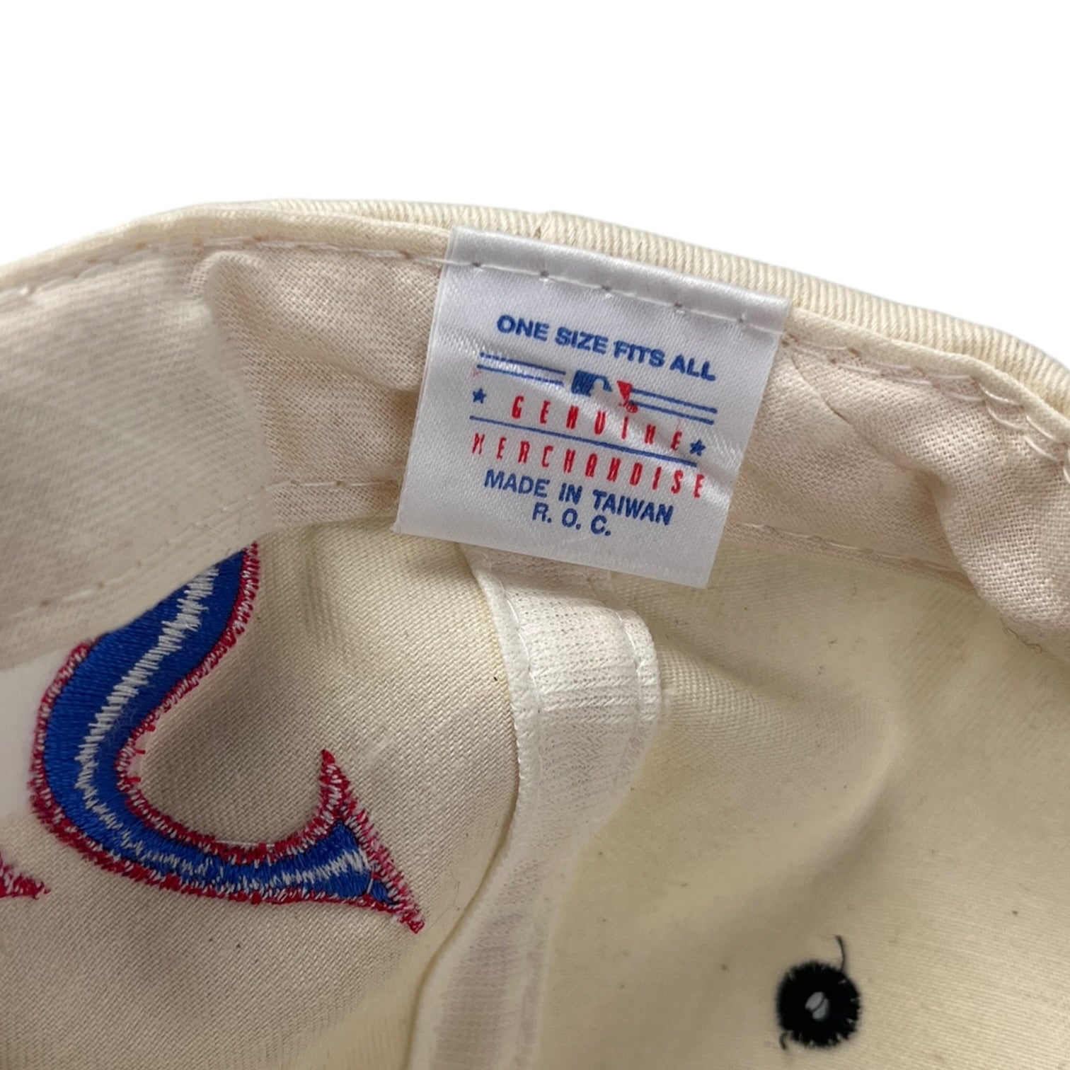 1993 Toronto Blue Jays World Series Champions Snapback Hat