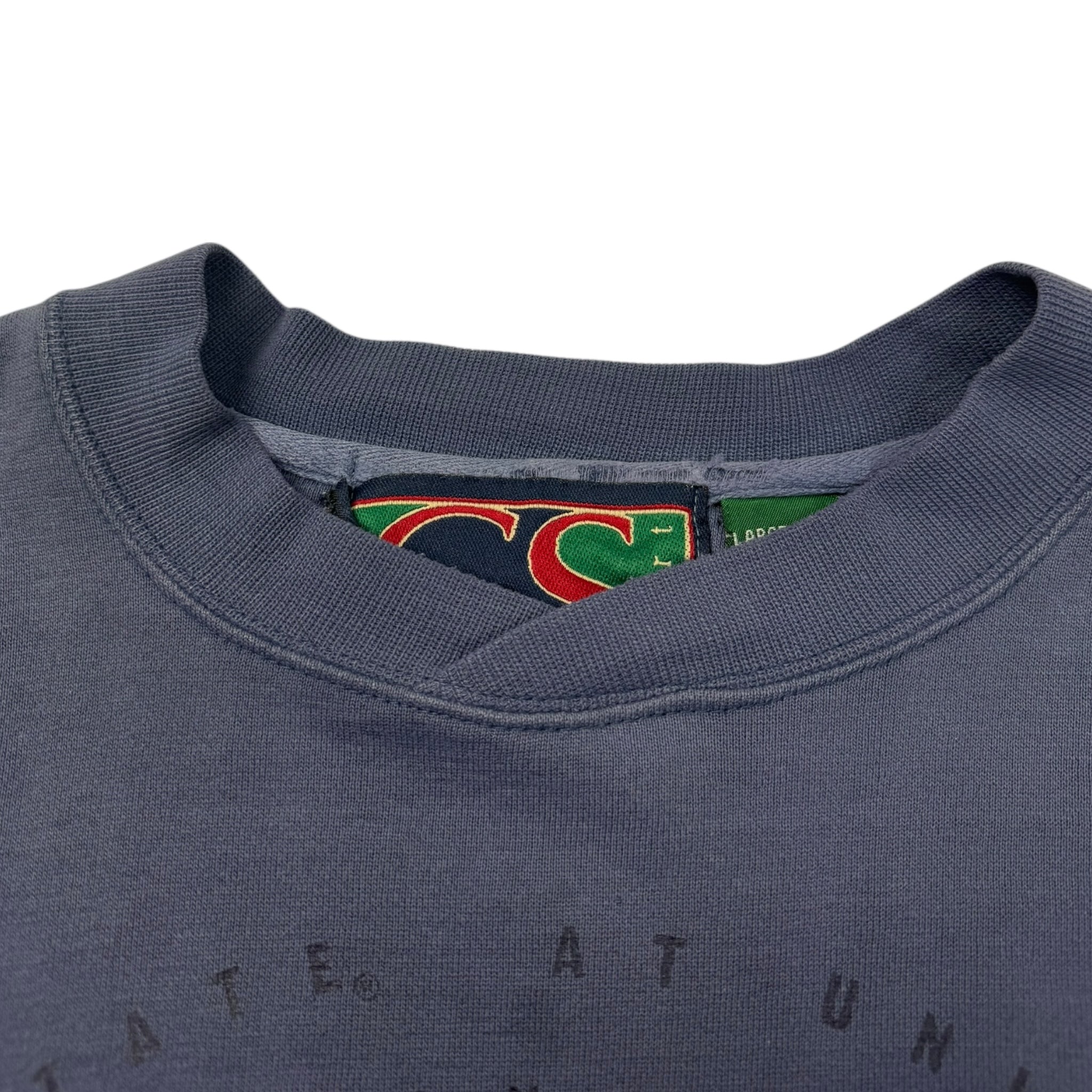 Vintage Penn State Nittany Lions Crewneck Faded Purple