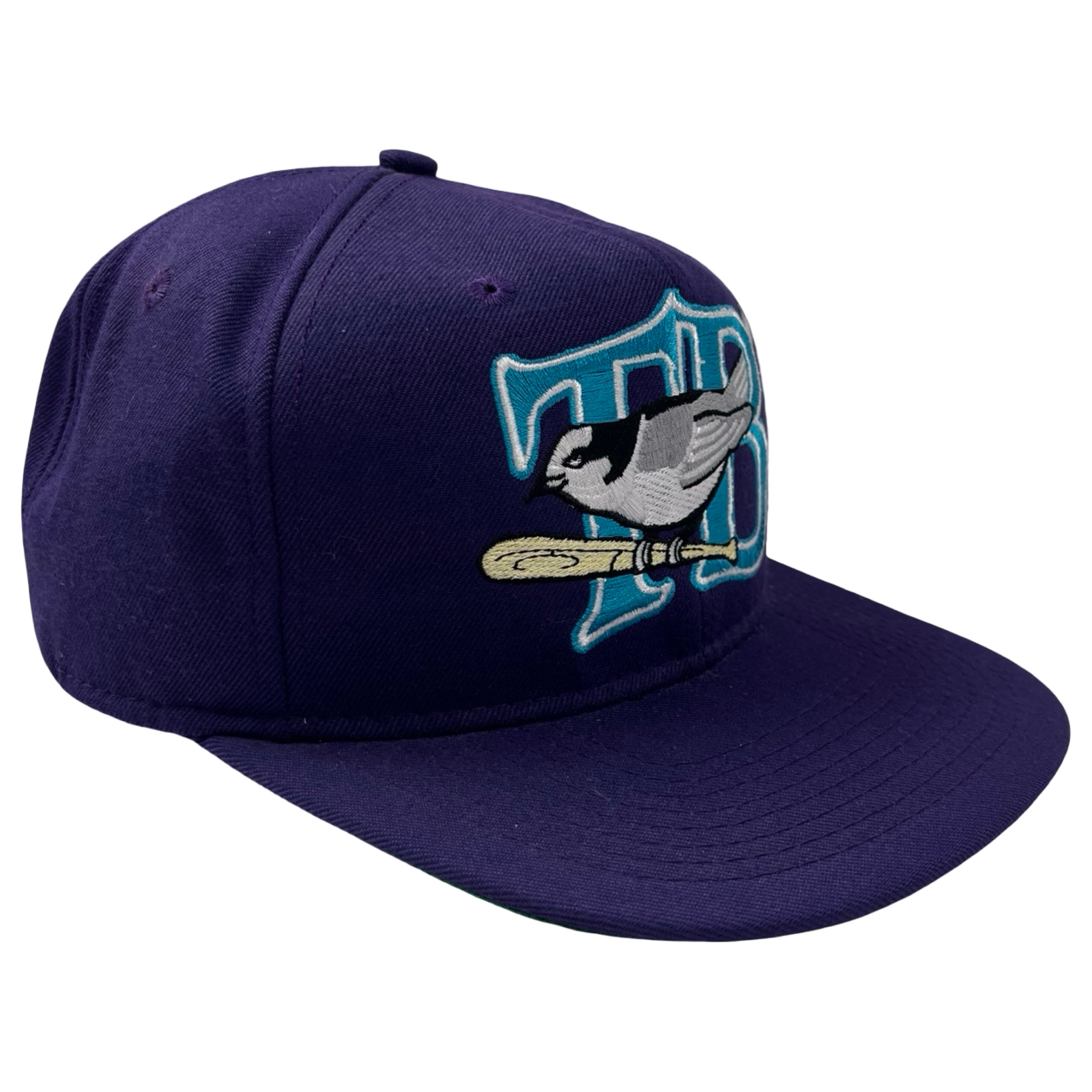 Vintage Thunder Bay Whisky Jacks Minor League Hat