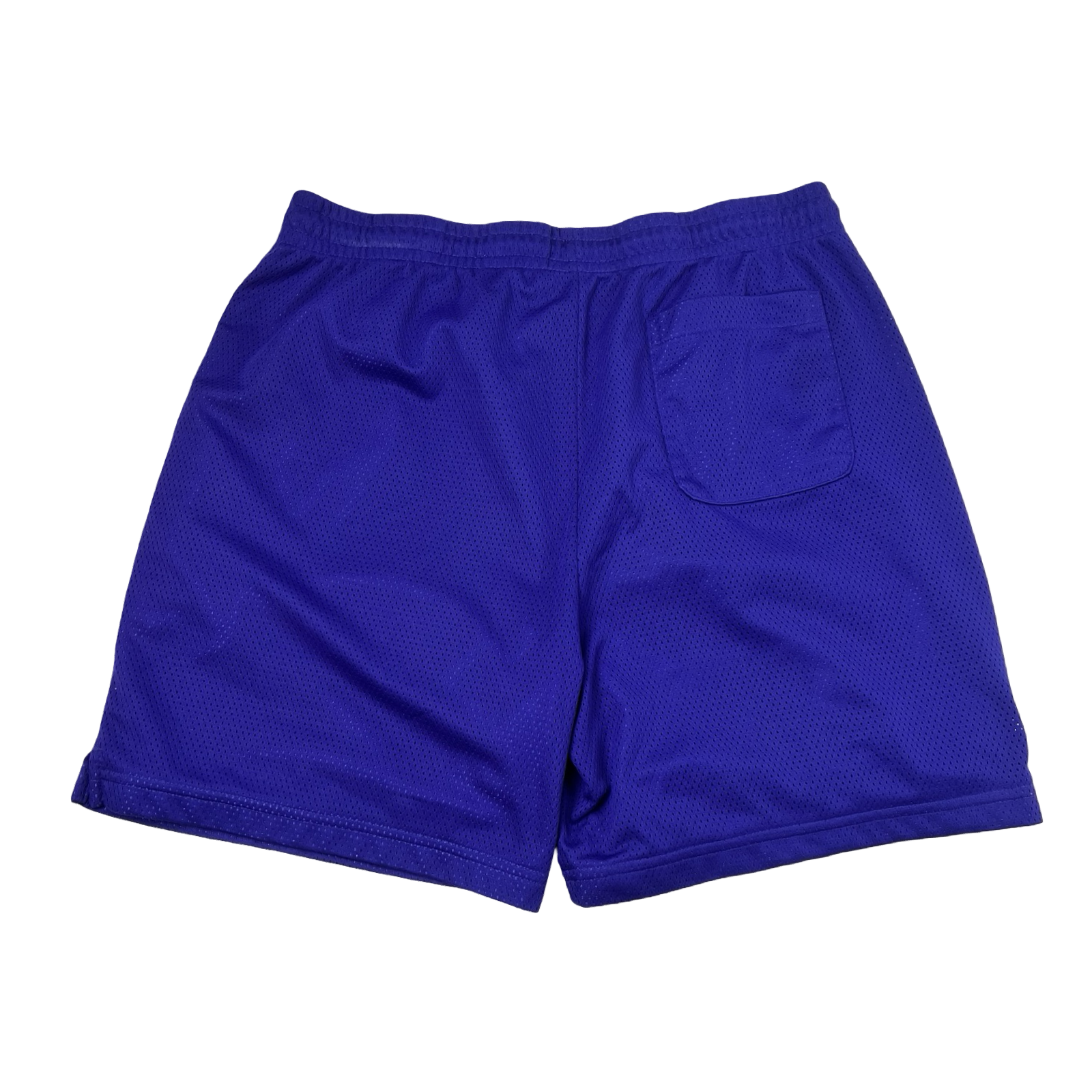 Aime Leon Dore Queens Crest Gym Shorts Purple