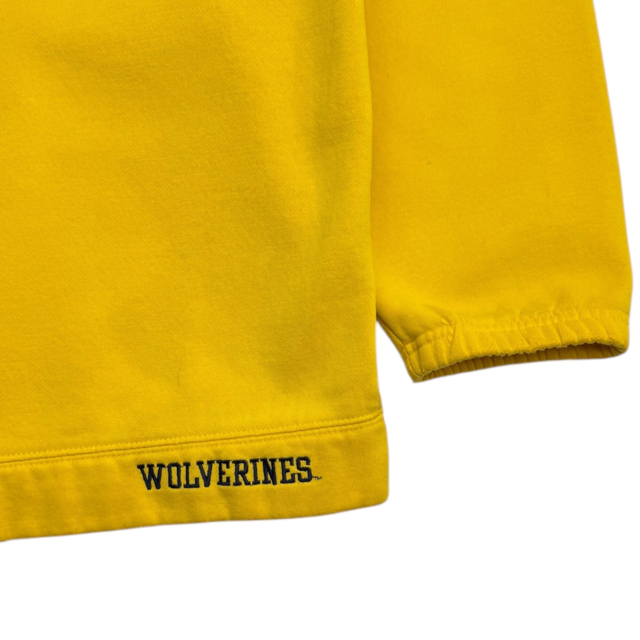 Vintage Y2K Nike Michigan Spell-out Hoodie